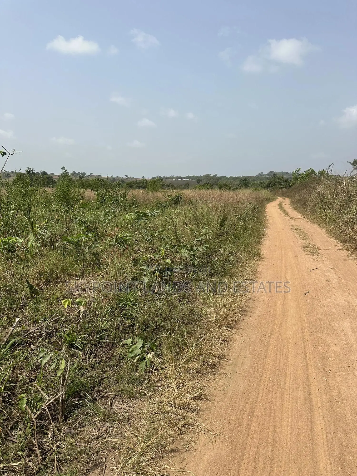 50 Acres Available at Okaka, Itesiwaju Local Government in Itesiwaju