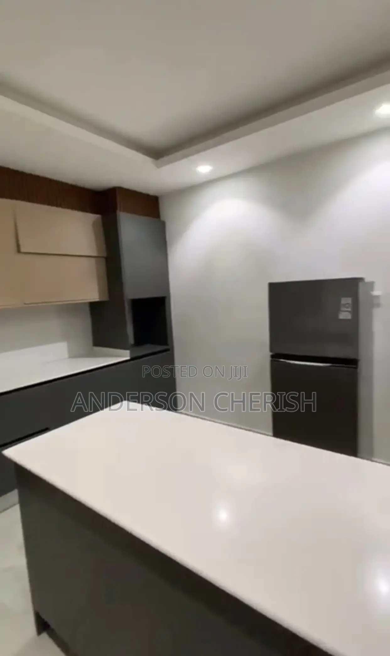 Furnished 3bdrm Duplex in Wuse 2 for rent in Wuse 2