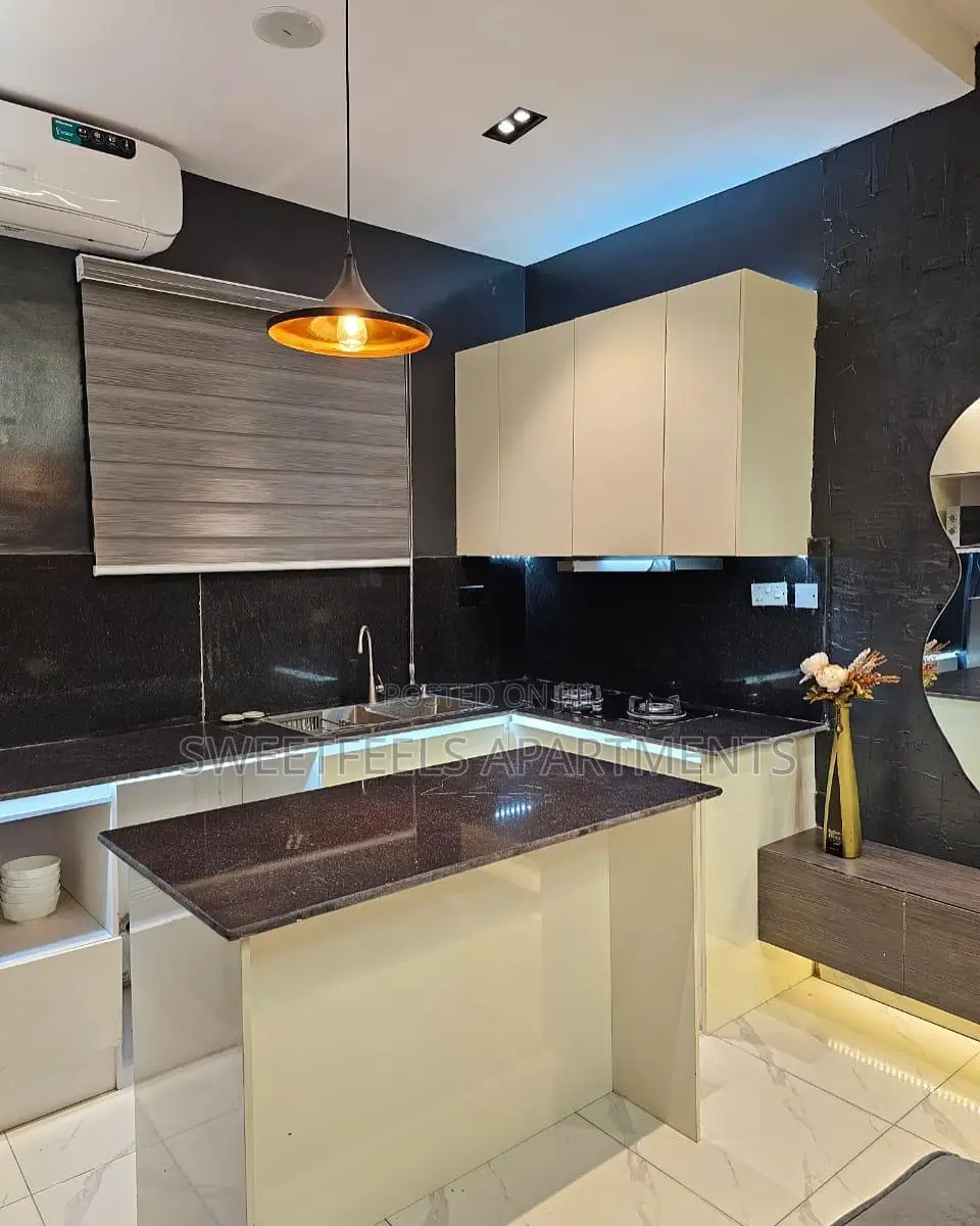 Art Beautifully Furnished 1 Bedroom Duplex With a Balcony in Lekki Phase 1