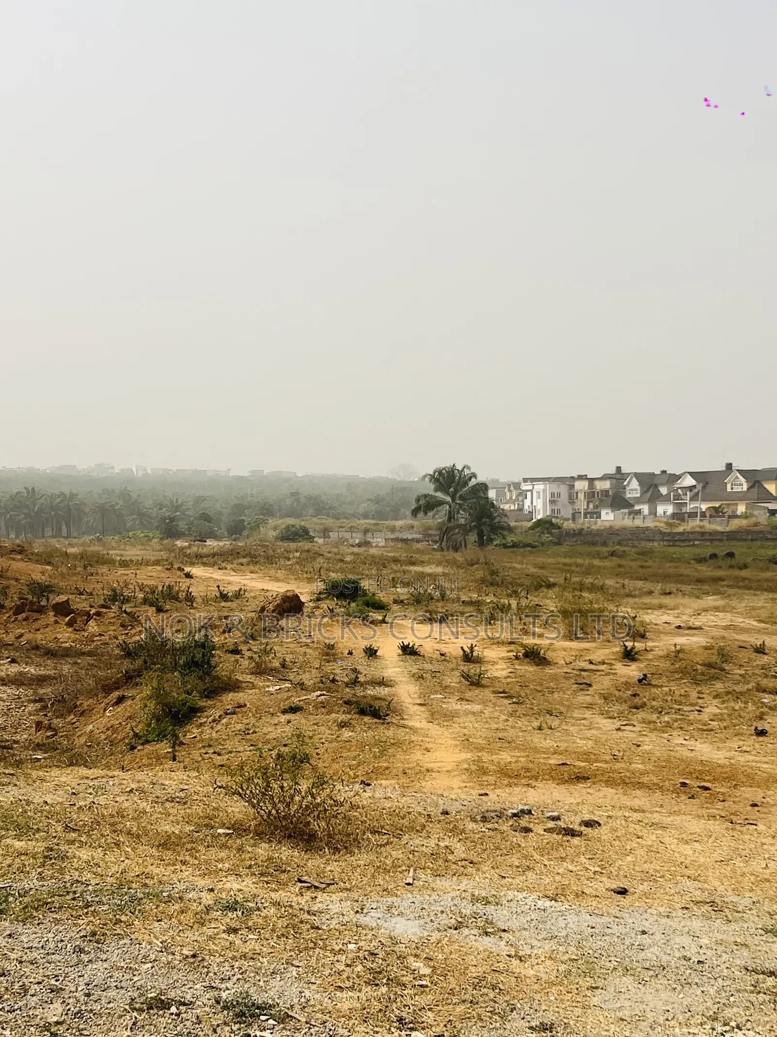Karasana 11 Hectares First Plot on a Tarred Road. in Dape