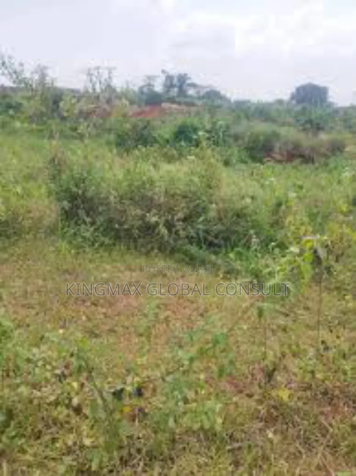 Dakibiyu/Wuye Main: Plot 1452 for Sale: 
Title: Rofo Size: 4.23ha in Dakibiyu
