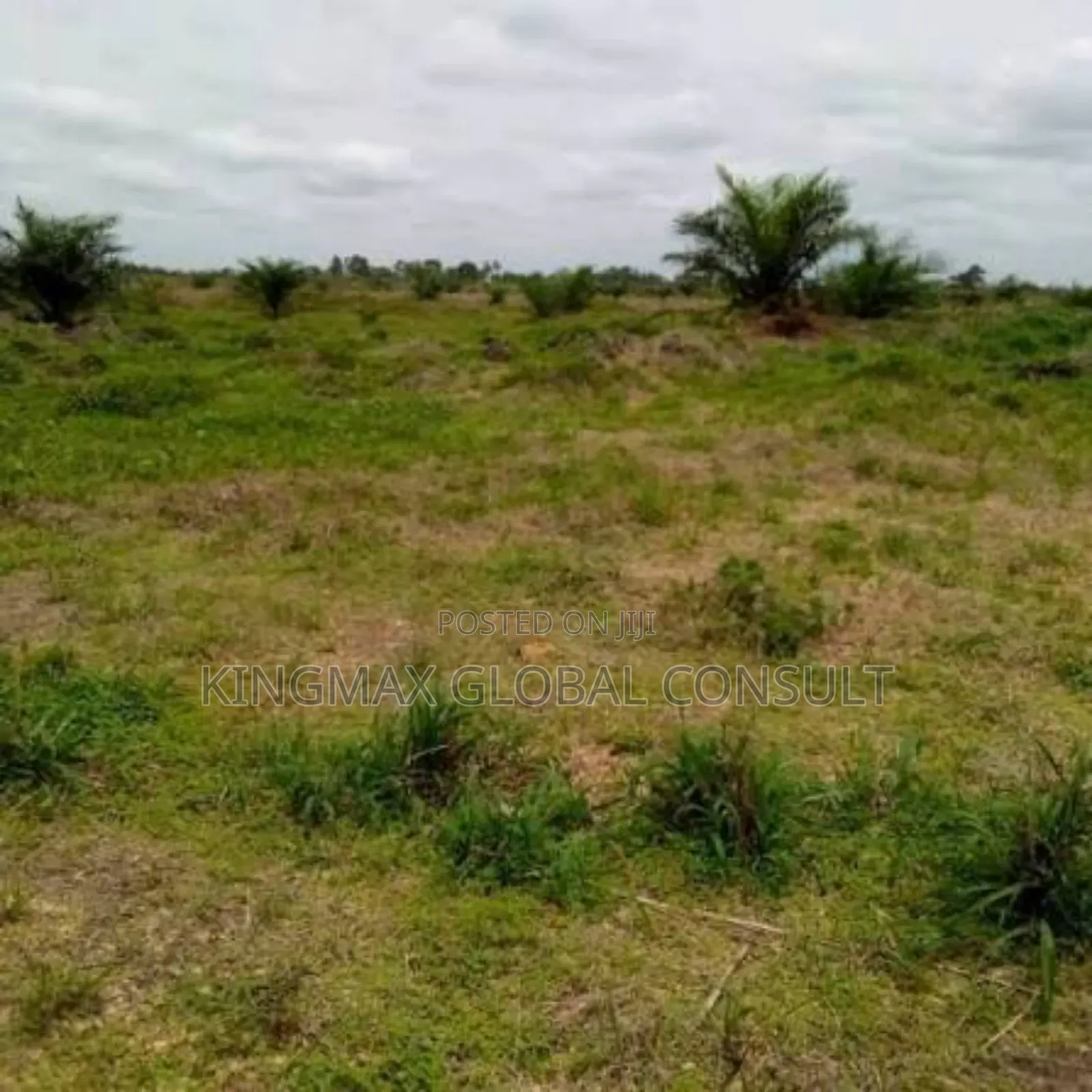 Mabushi Main: Plot 5278 for Sale: Title: Rofo : Size: 3224sqm in Mabushi