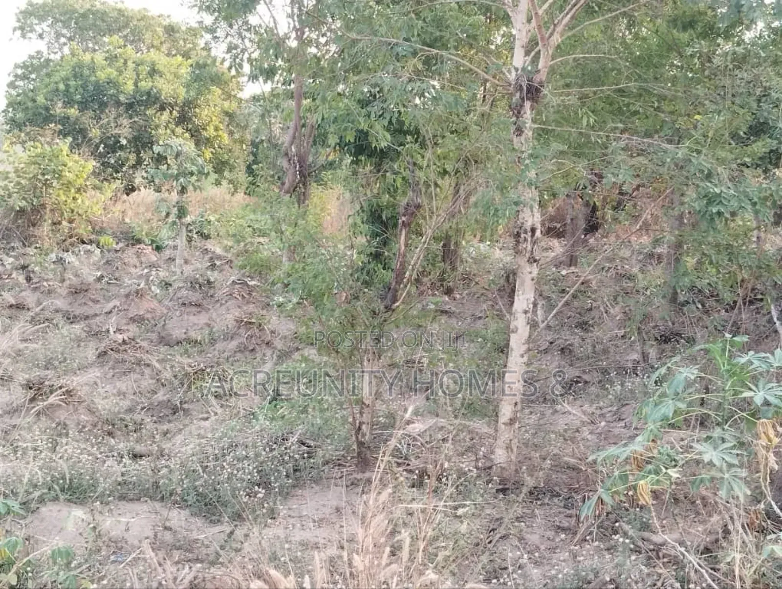 5 Acres of Land for Sale – Km 2, Iseyin–Ibadan Road (Beside Kara ) in Iseyin