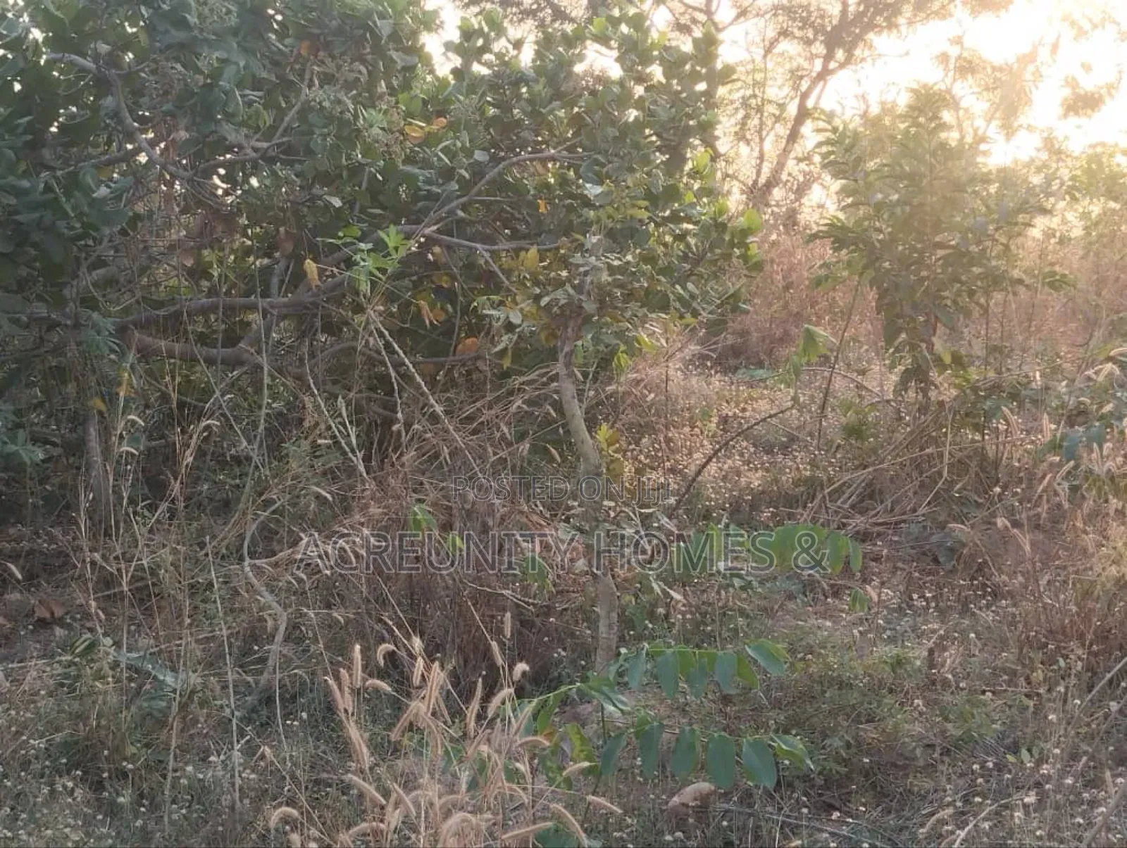5 Acres of Land for Sale – Km 2, Iseyin–Ibadan Road (Beside Kara ) in Iseyin