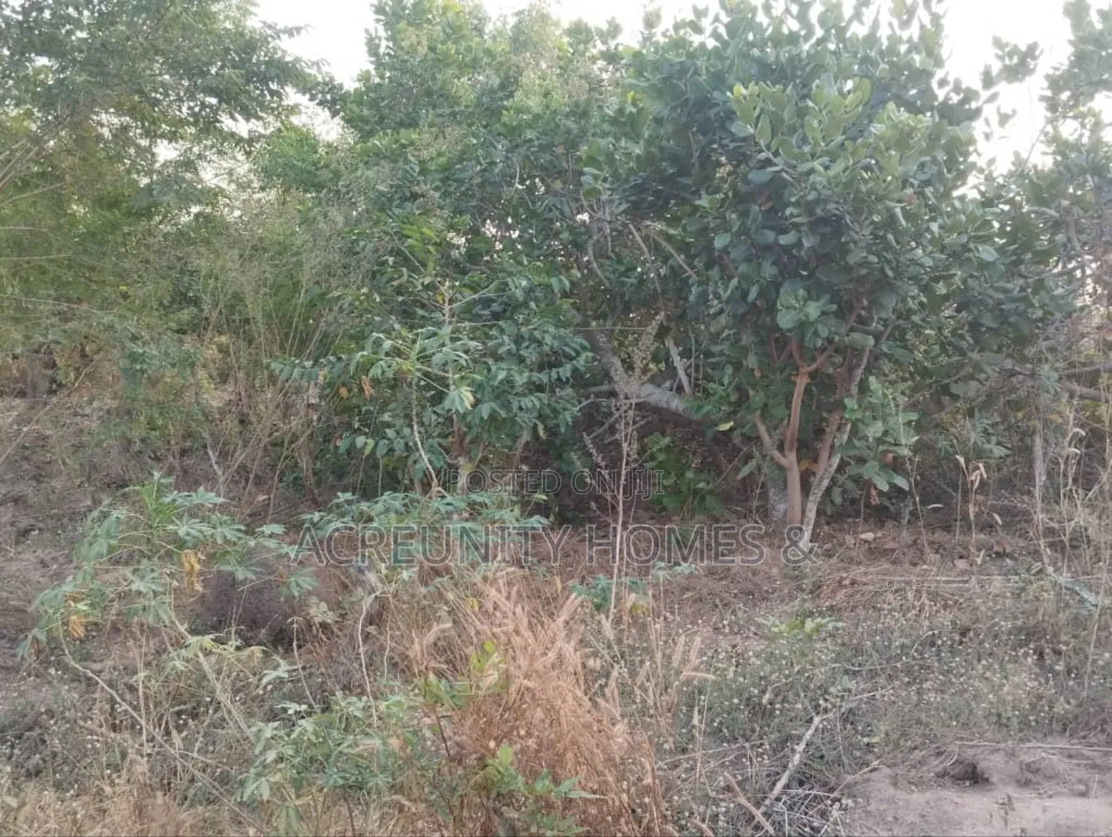5 Acres of Land for Sale – Km 2, Iseyin–Ibadan Road (Beside Kara ) in Iseyin
