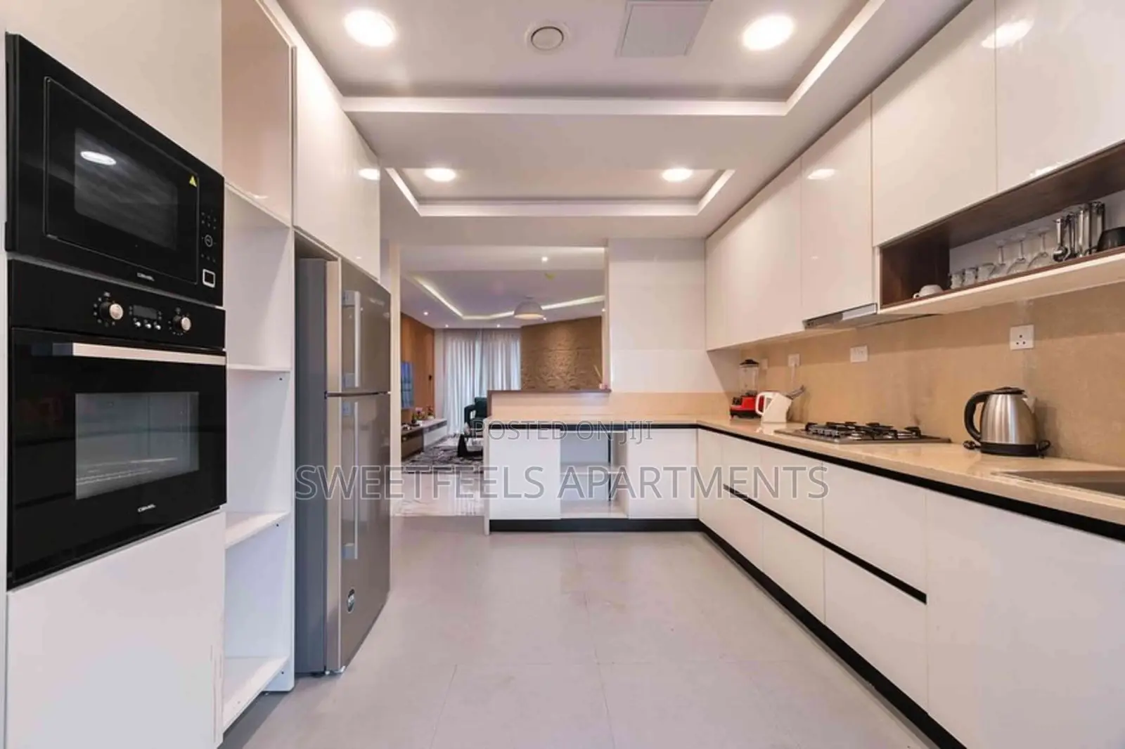 Beautiful and Luxurious 2 Bedroom Apartment in Lekki Phase 1