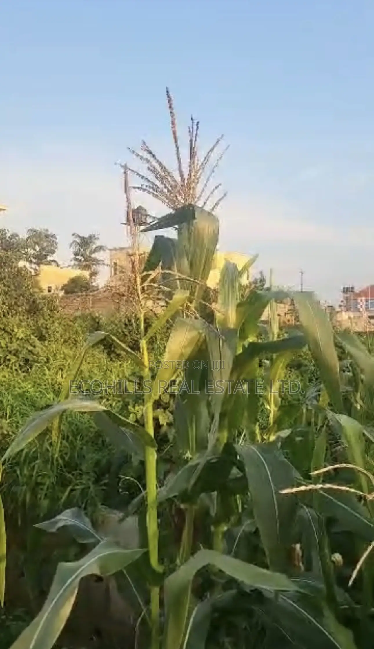 Guzape Main Land in Guzape District