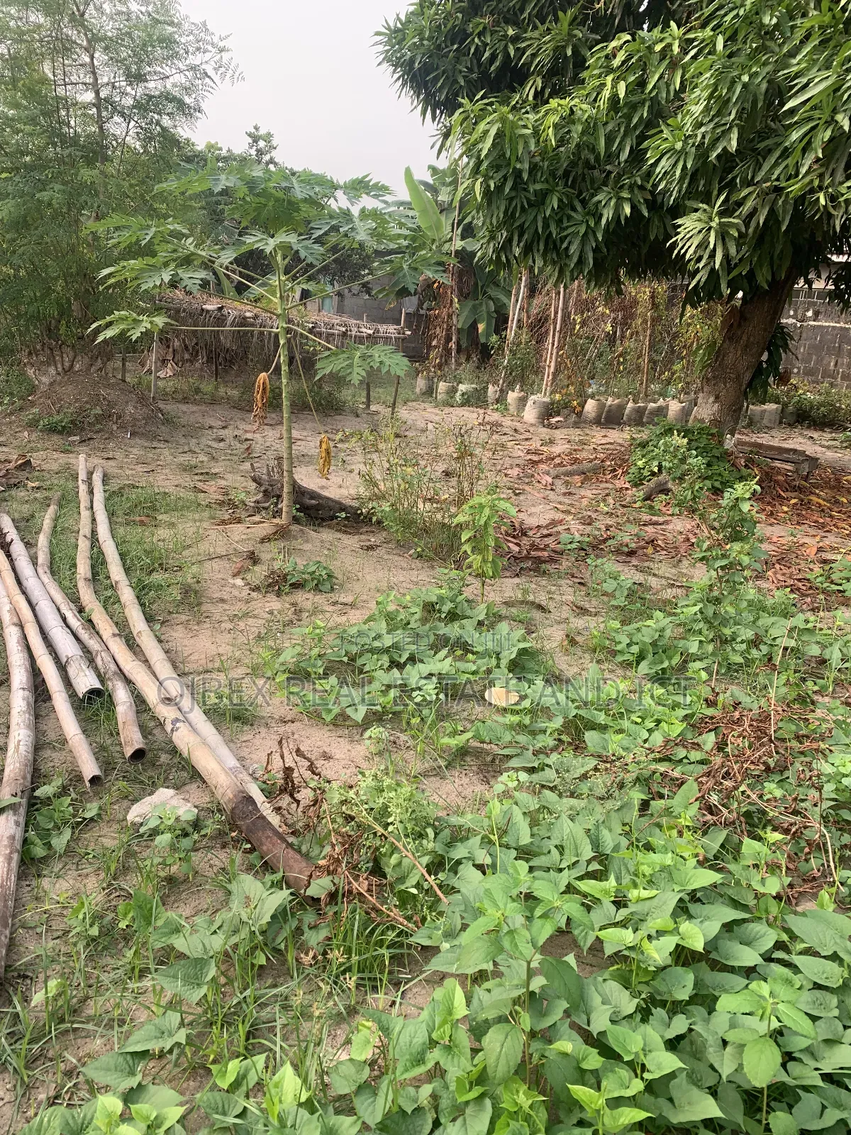 Full Plot of Dry Land Fenced in Ajah