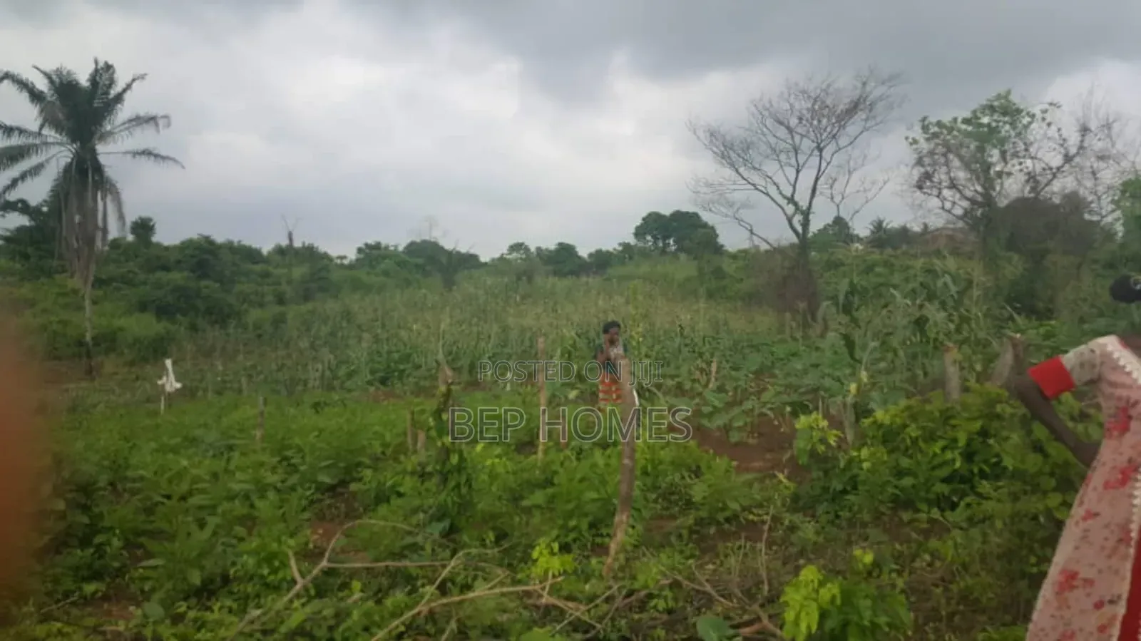 6 Acres of Dry Land Directly on Papalanto Expressway in Ajah