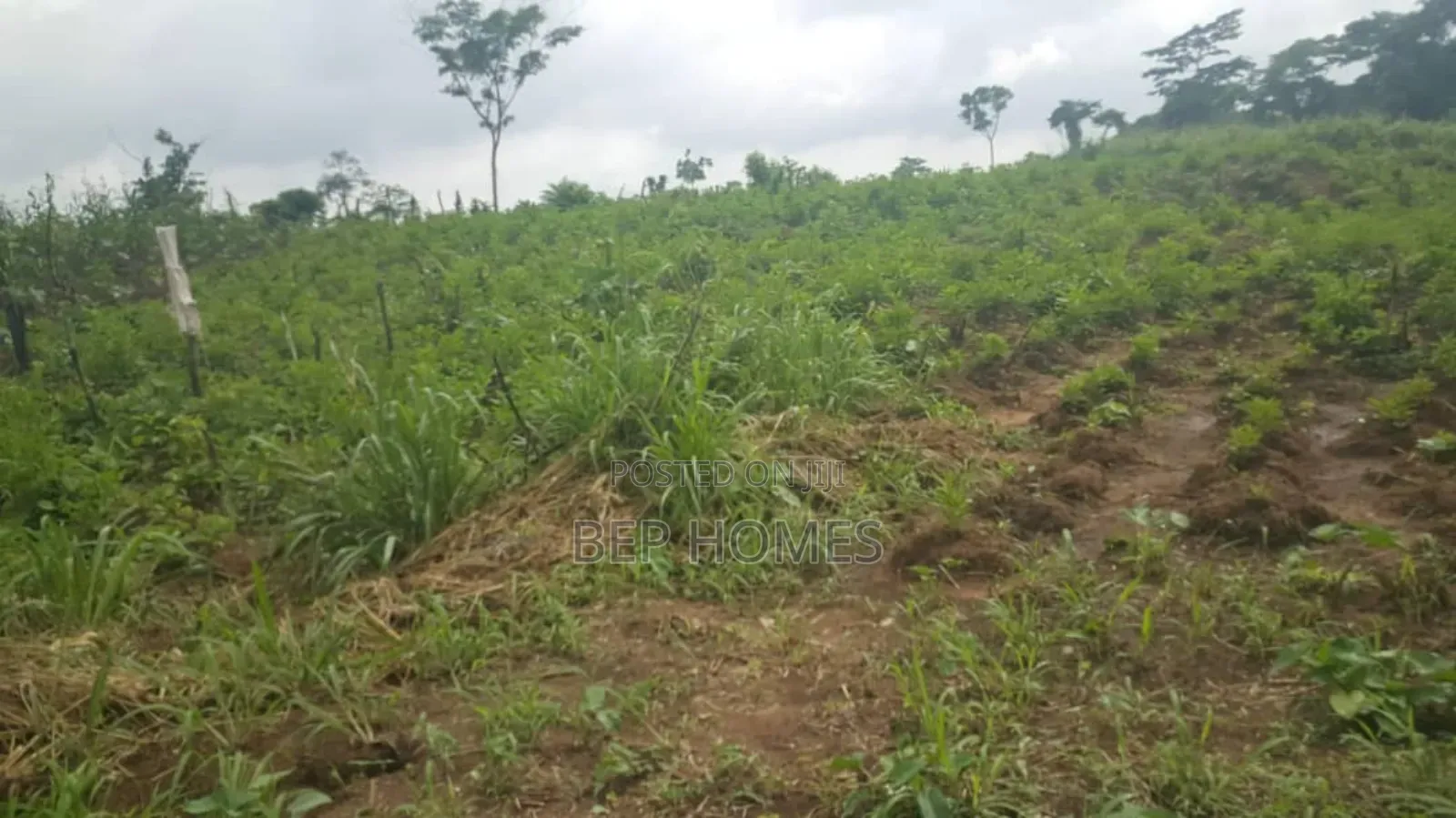 6 Acres of Dry Land Directly on Papalanto Expressway in Ajah