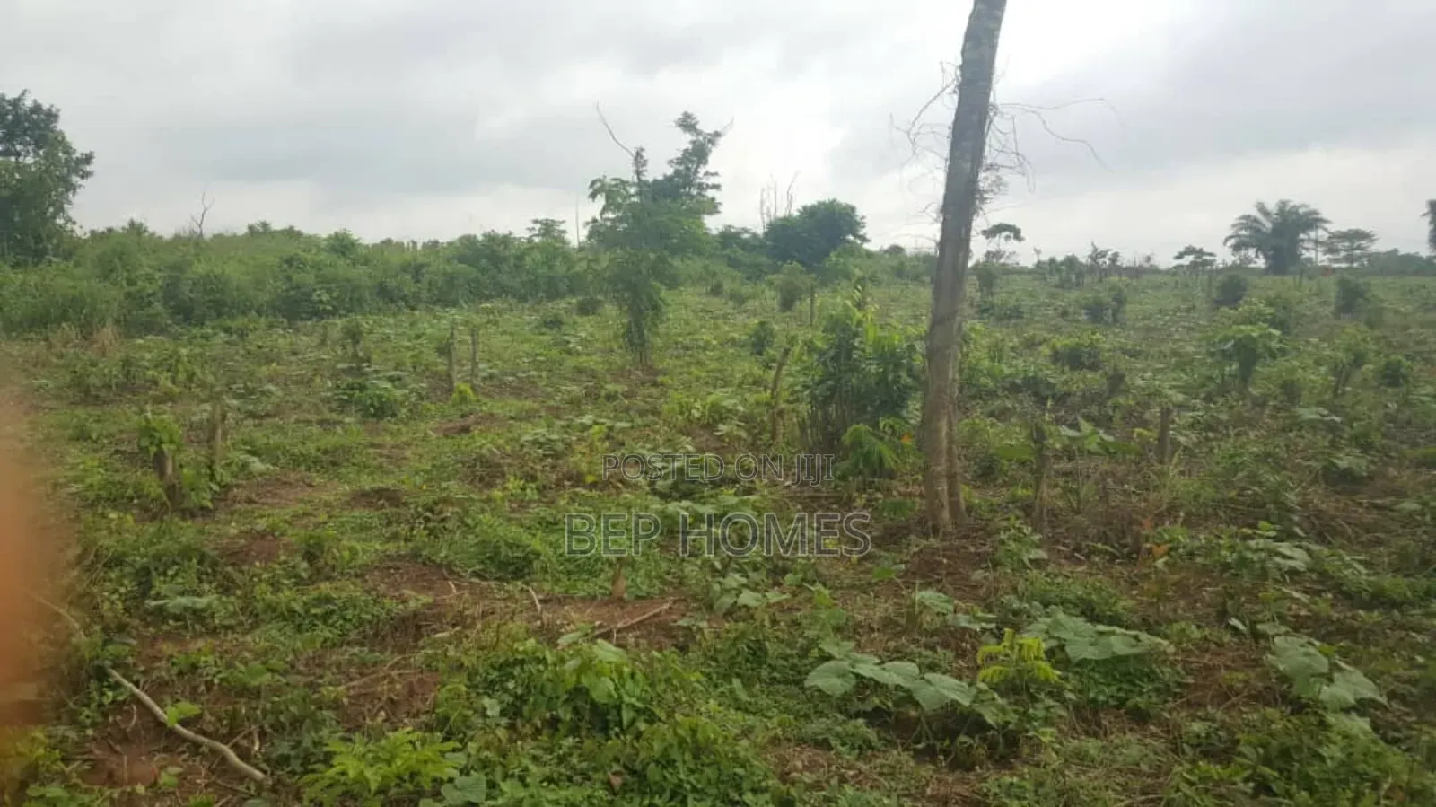 6 Acres of Dry Land Directly on Papalanto Expressway in Ajah
