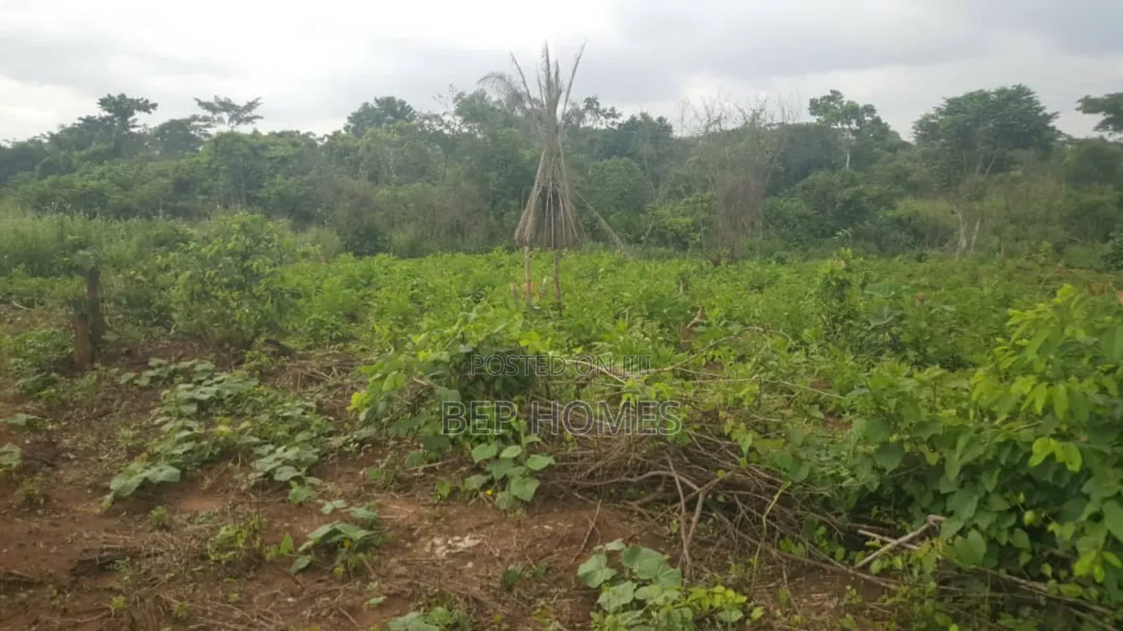 6 Acres of Dry Land Directly on Papalanto Expressway in Ajah