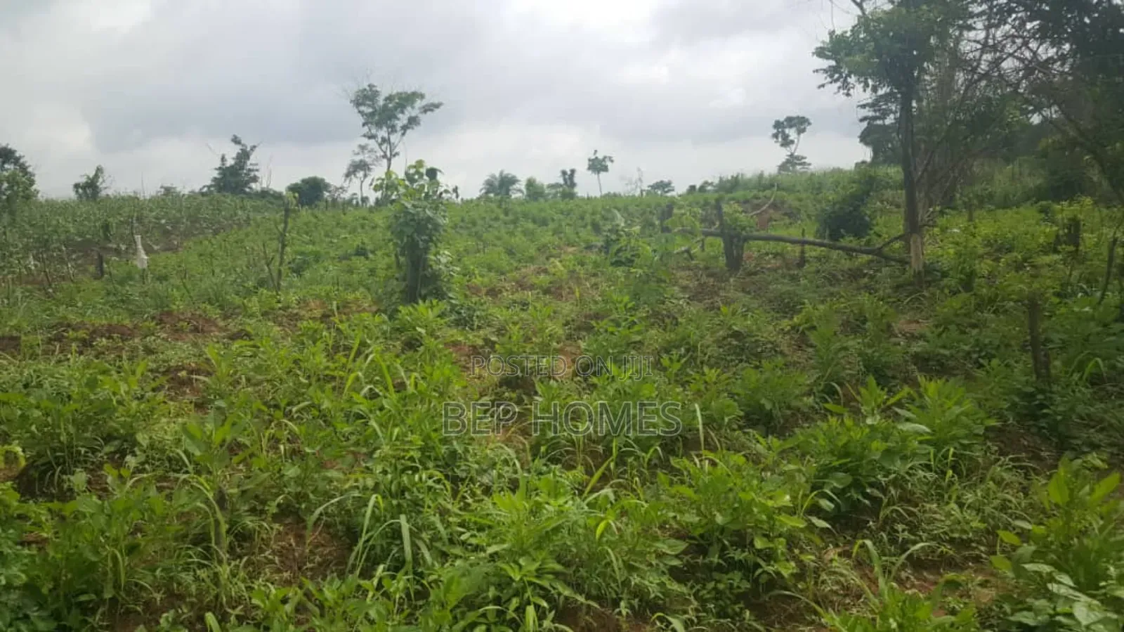 6 Acres of Dry Land Directly on Papalanto Expressway in Ajah