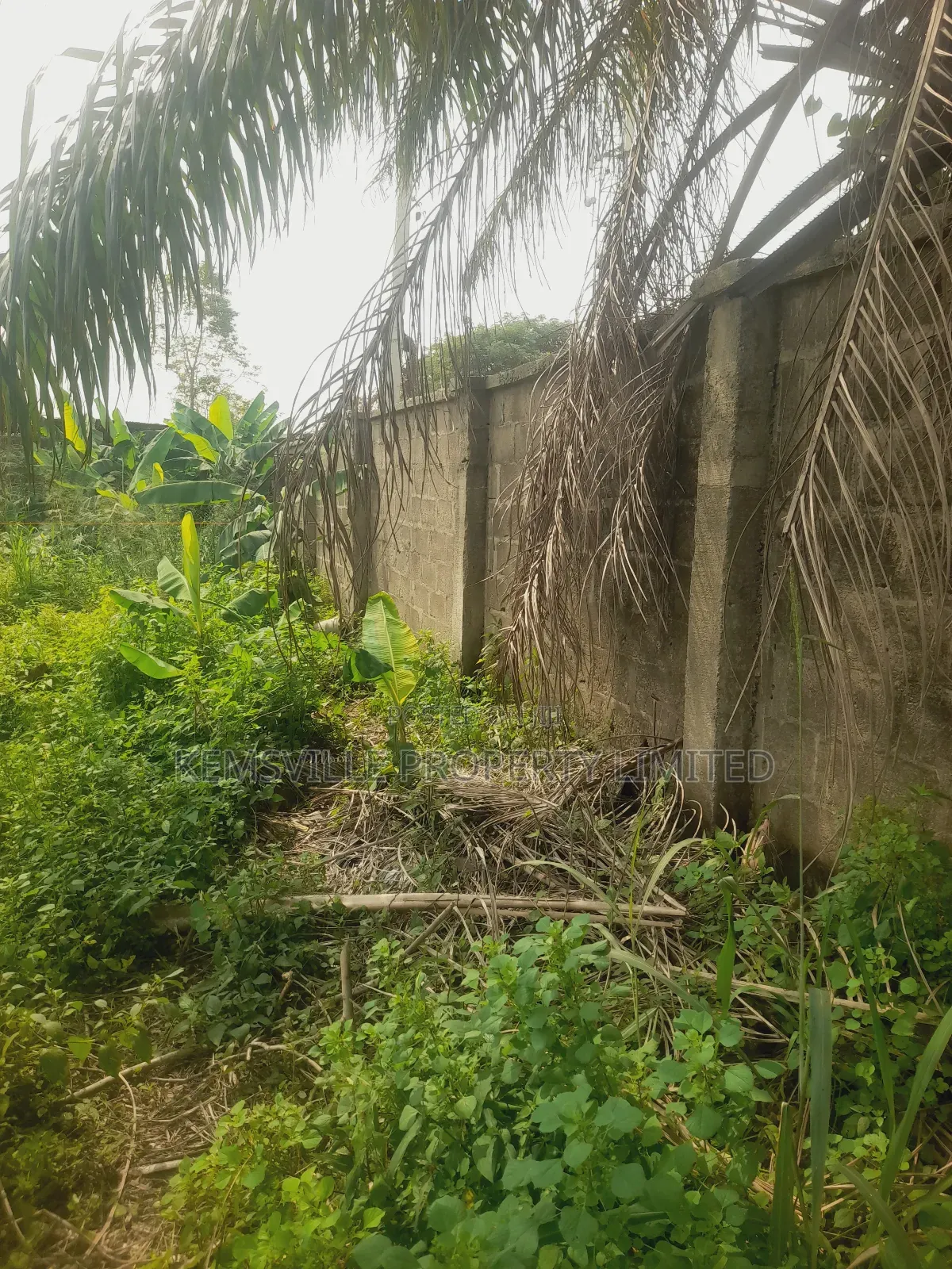 Full Plot of Land for Sales at Labak Estate Abule Egba in Abule Egba