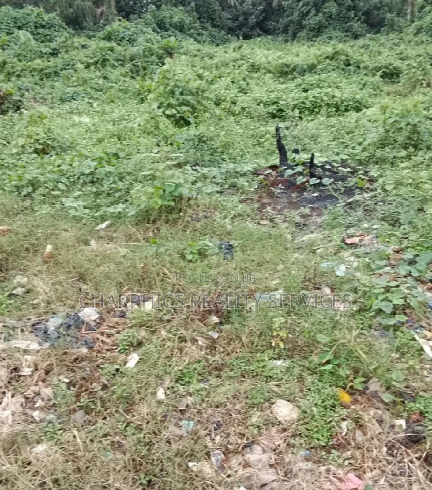 Half Plot of Land at Agric Ikorodu in Ajah