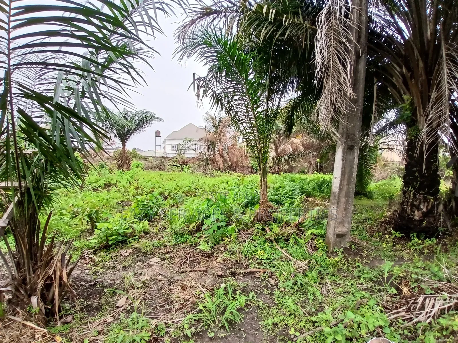 12plots of Dry Land (2 Acres) in Ajah in Ajah