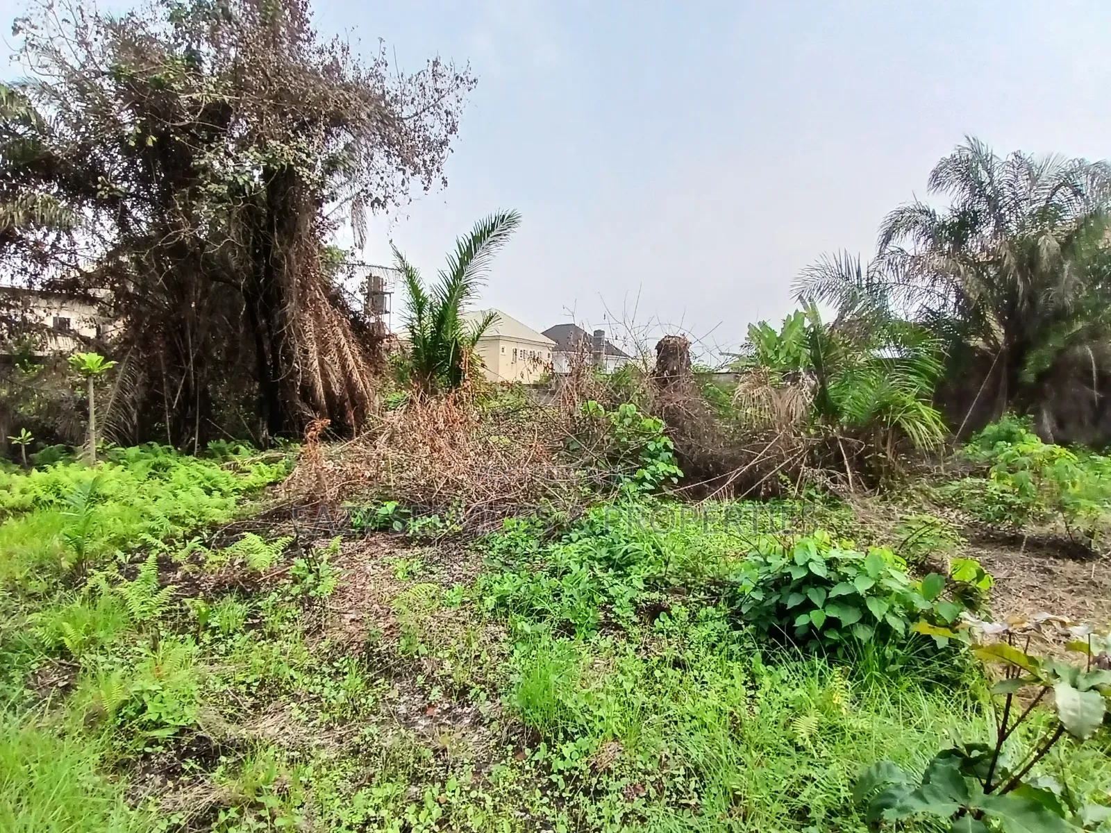 12plots of Dry Land (2 Acres) in Ajah in Ajah