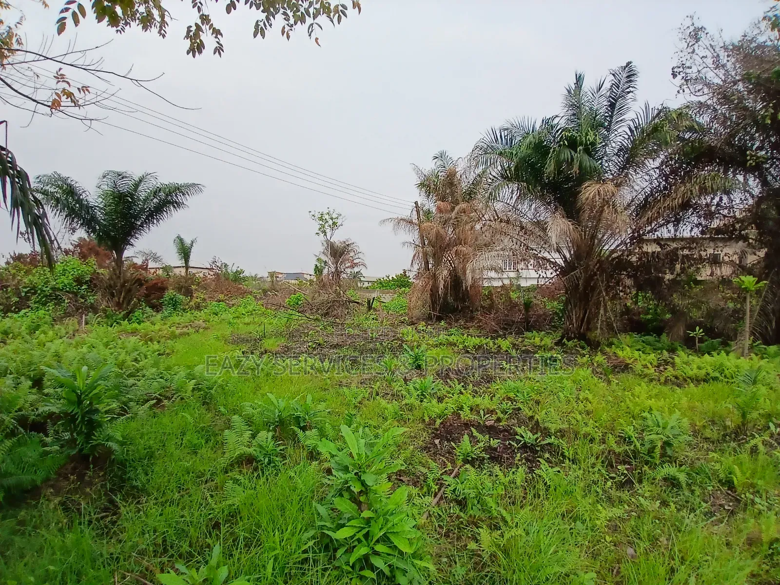 12plots of Dry Land (2 Acres) in Ajah in Ajah