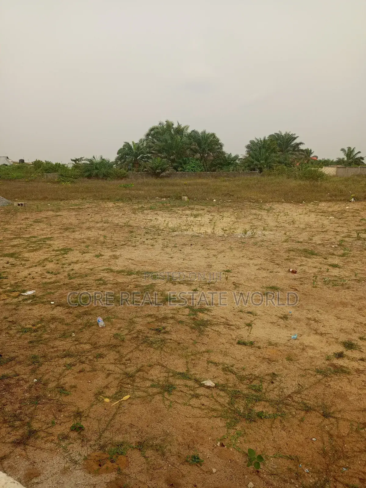 Genuine in Ubulu-Okiti, Delta in Burutu