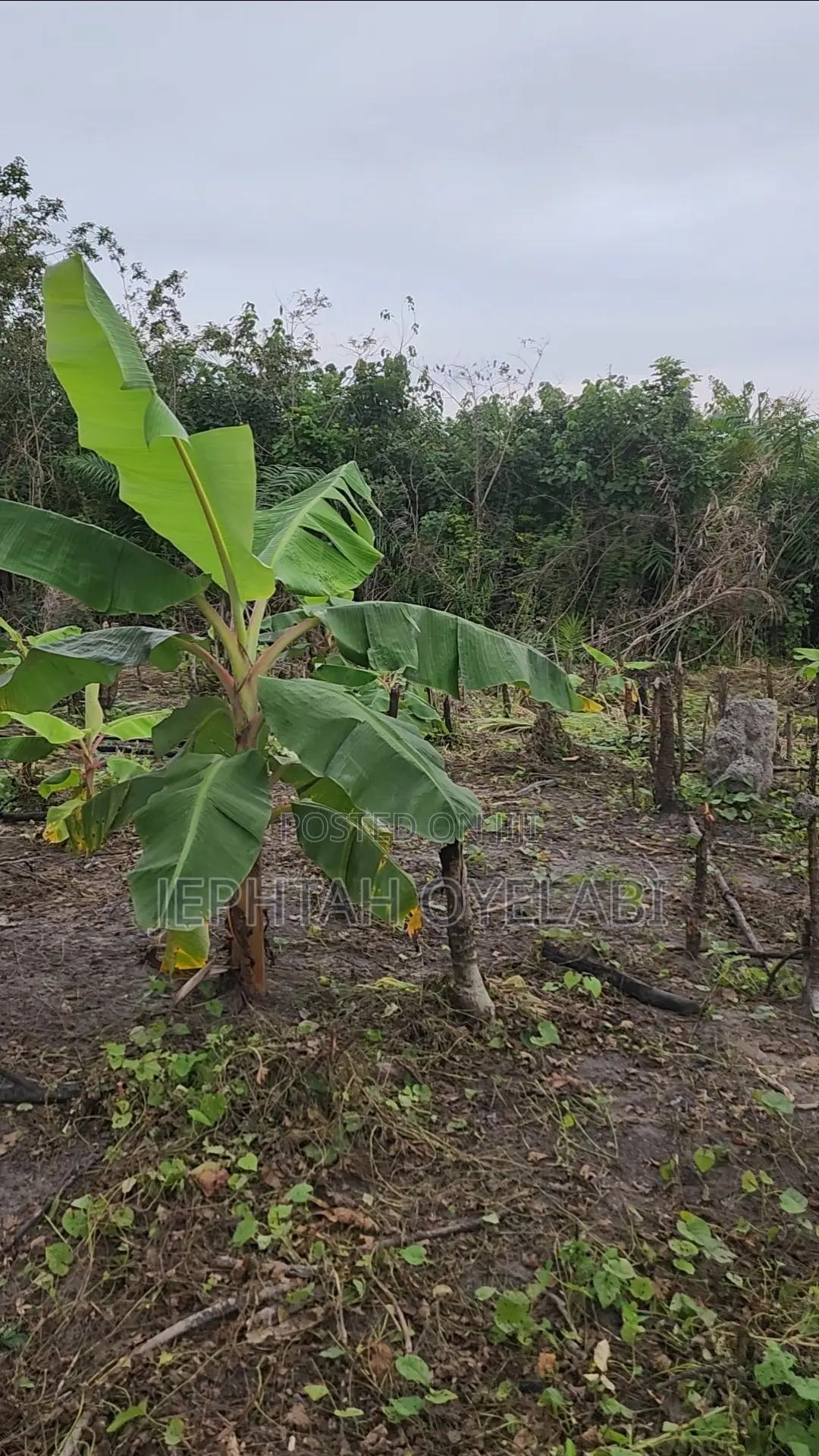 4 Plots of Land for Sale in Epe in Epe