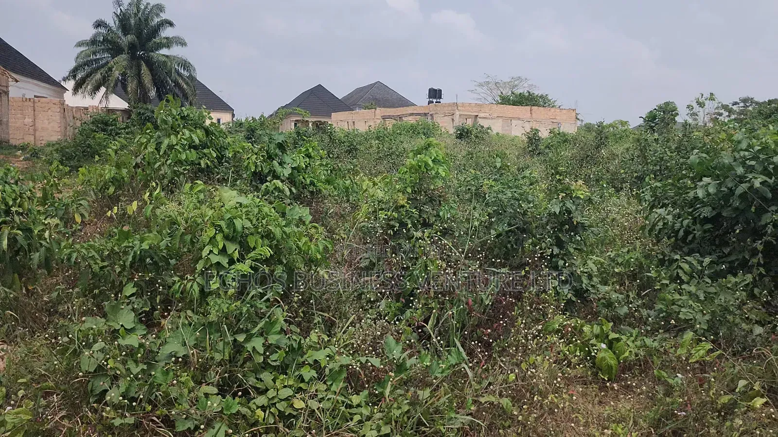 50ft By 100ft For Sale At Amagba Community in Benin City