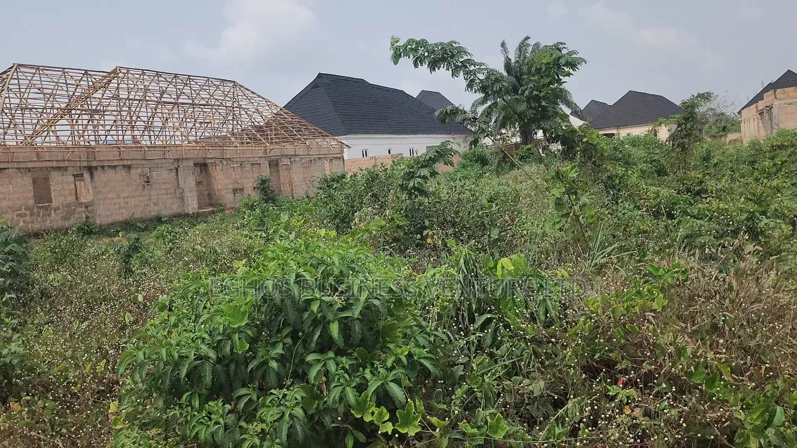 50ft By 100ft For Sale At Amagba Community in Benin City
