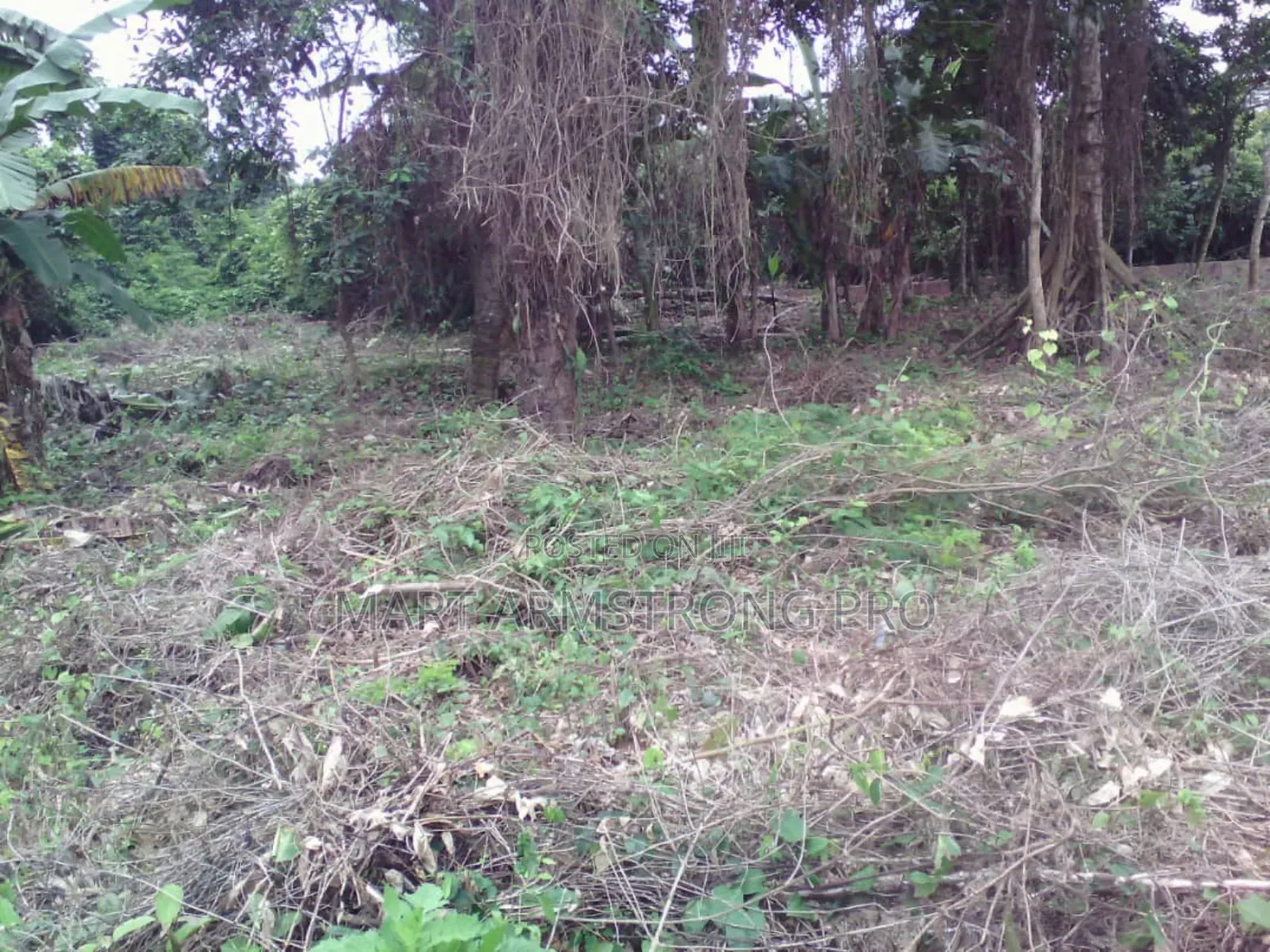 2 Plots of Land Together in a Good Fast Developing Locaion in Ikorodu