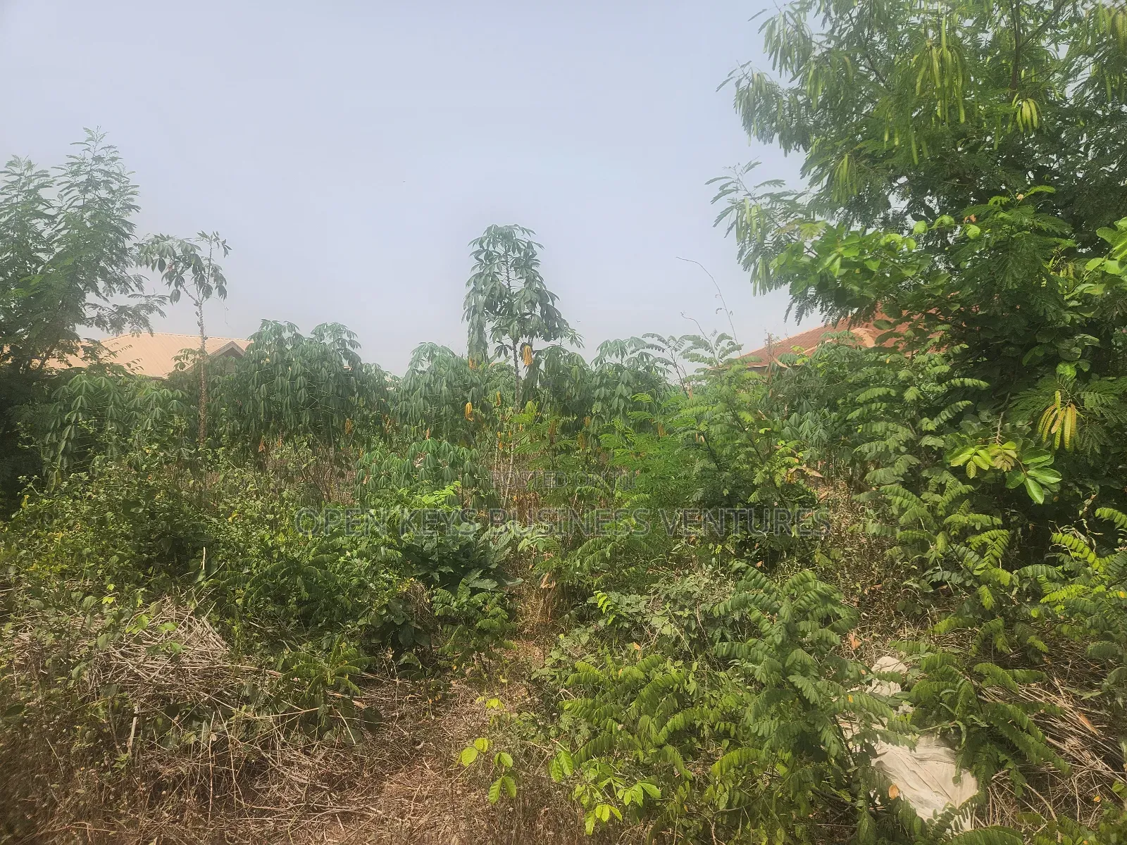 A Plot of Residential Land at All Saint Agbofieti in Jericho