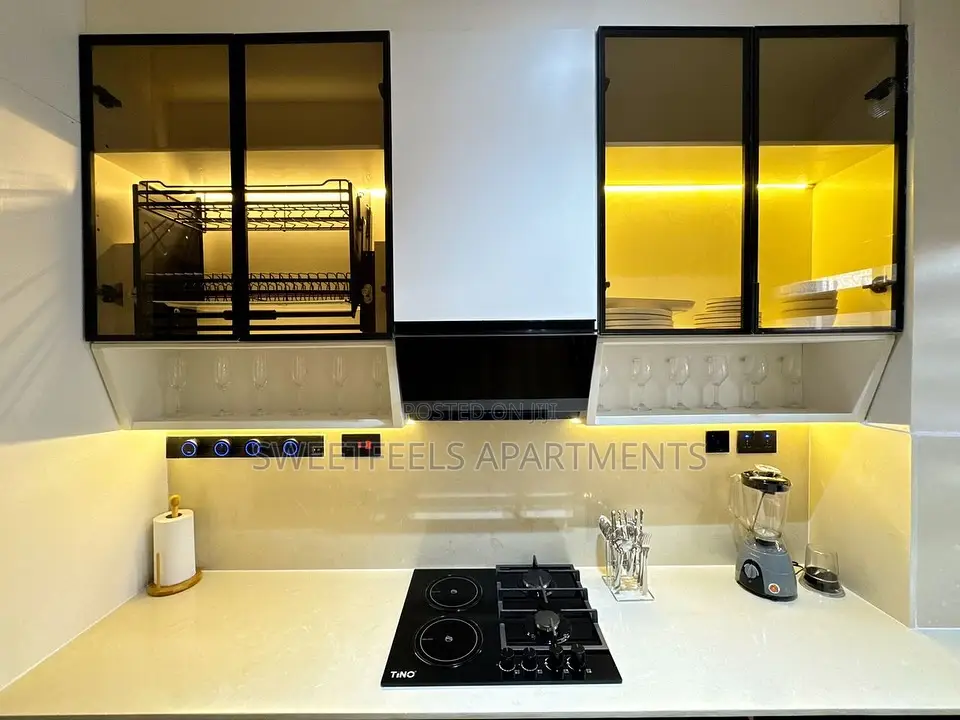 Two (2) Bedroom Luxury Apartment in Lekki Phase 1