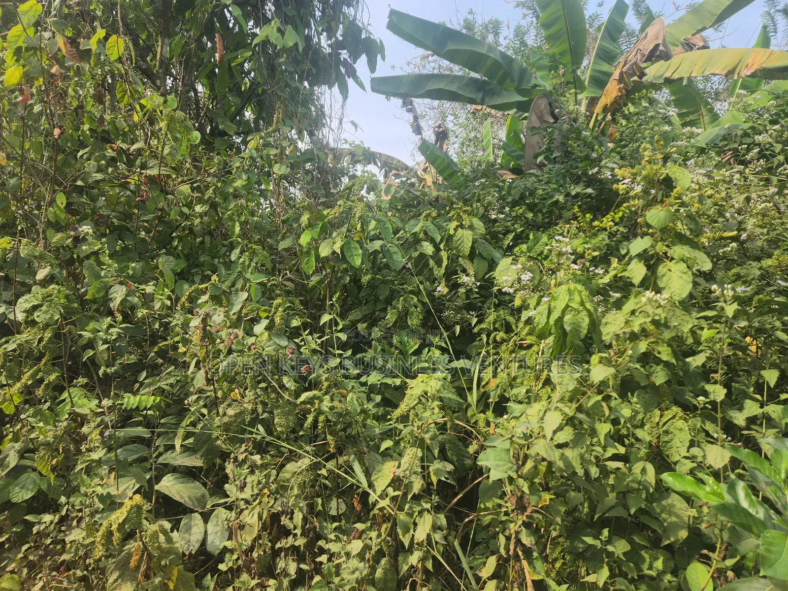 120 Acres of Residential Land in Omi Apata Good for All Estate in Ido
