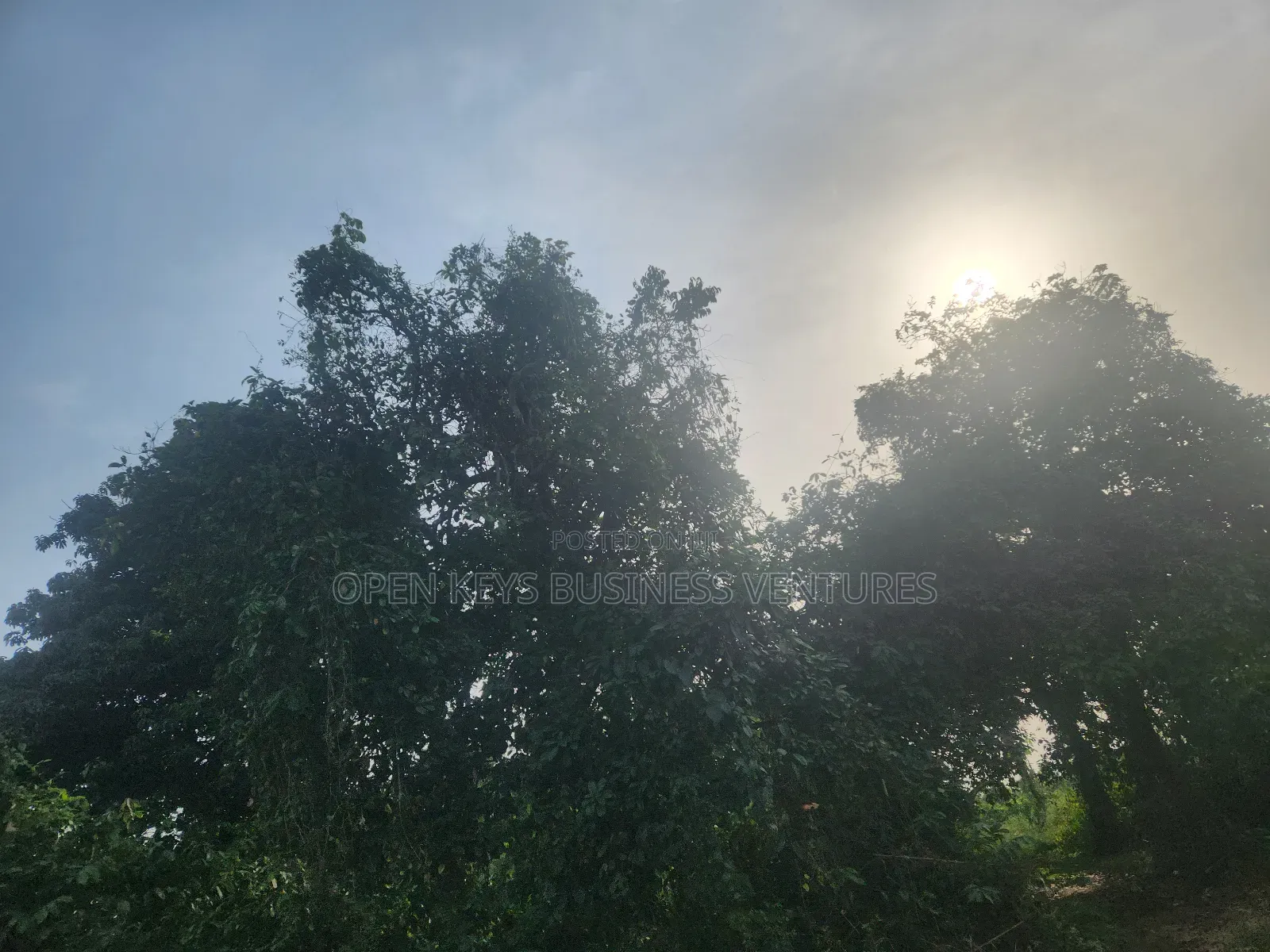 120 Acres of Residential Land in Omi Apata Good for All Estate in Ido