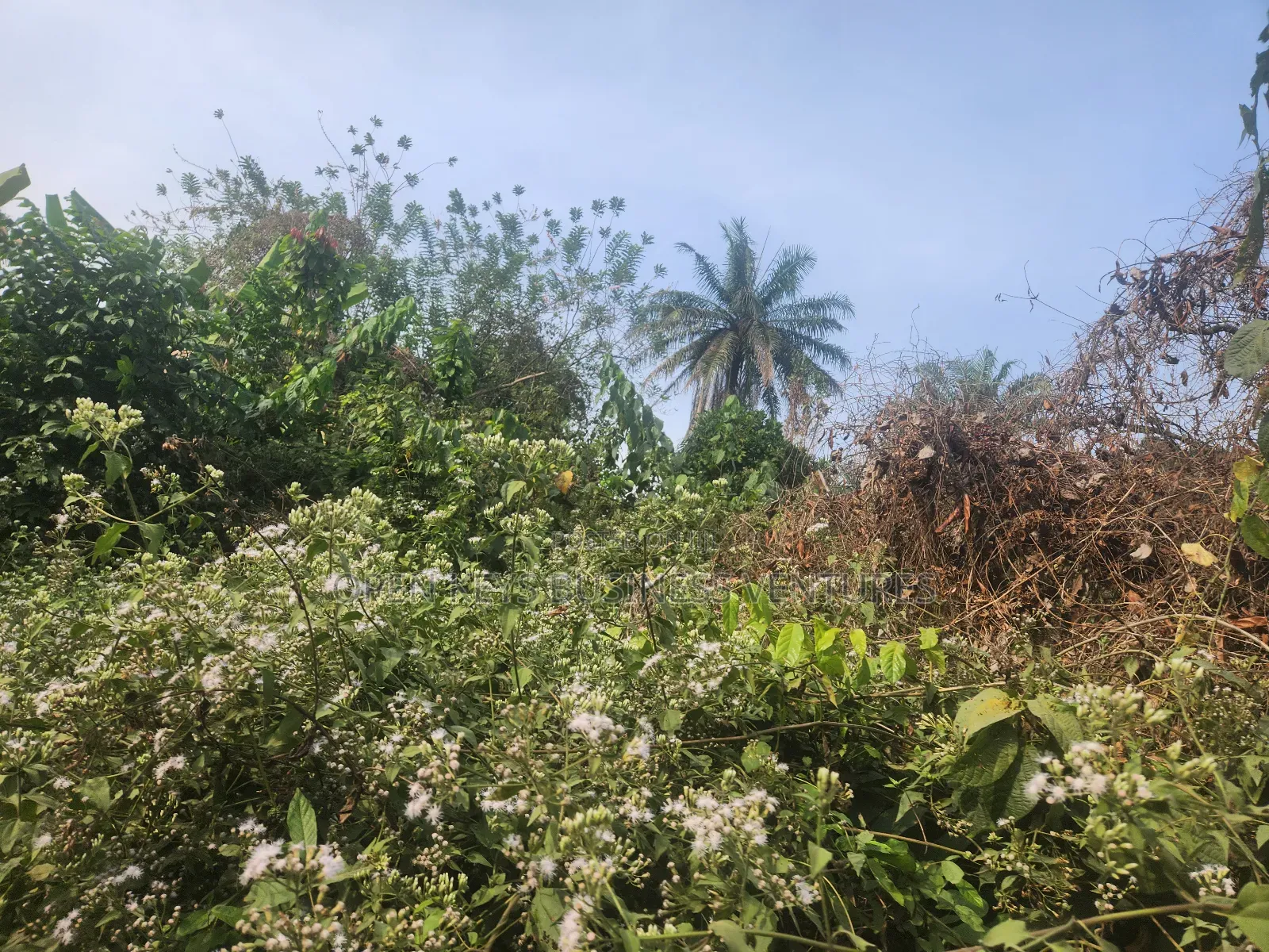 120 Acres of Residential Land in Omi Apata Good for All Estate in Ido