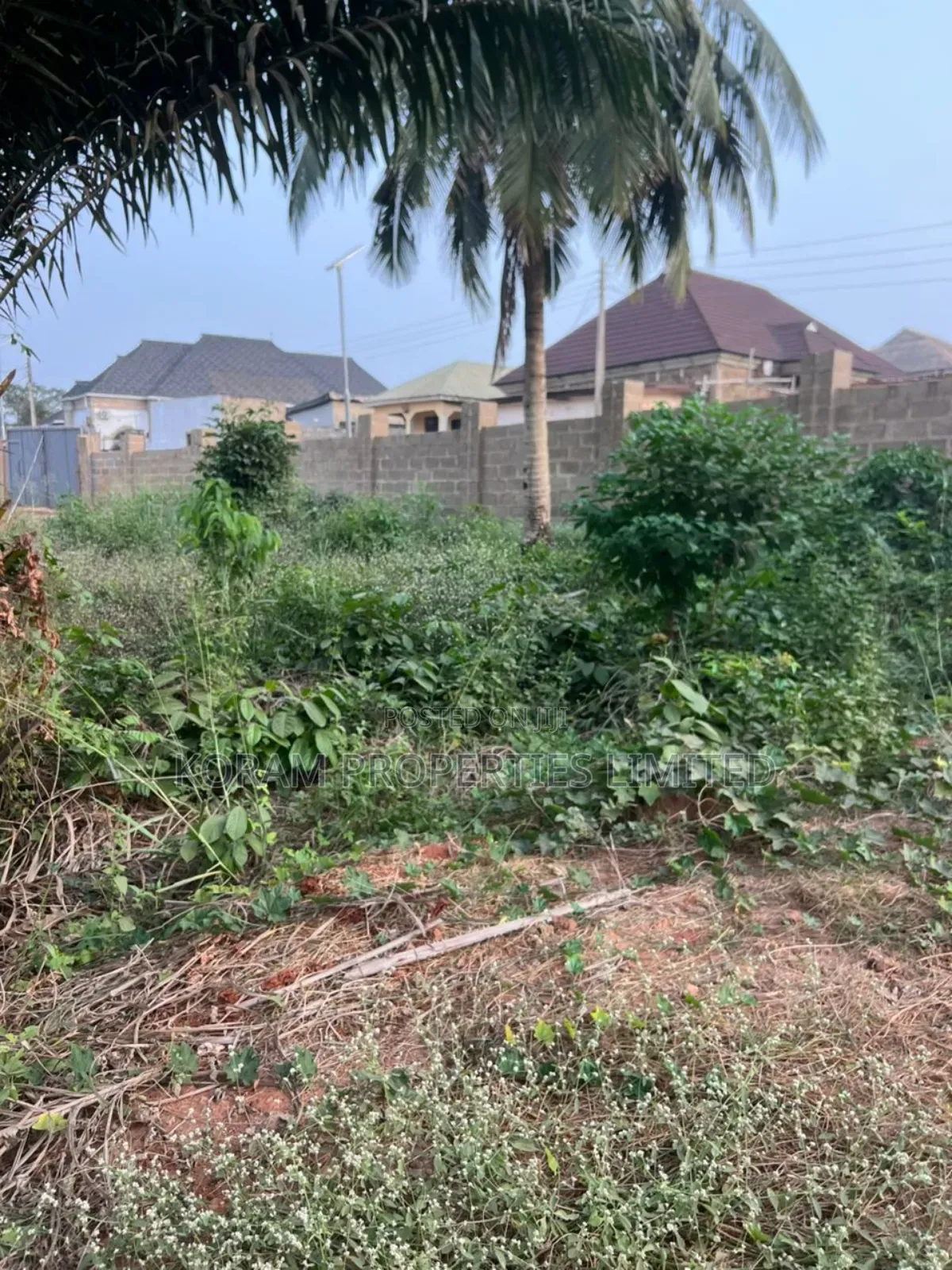 Land Behind Immigration Office, a Minute Drive to Train Station in Abeokuta South