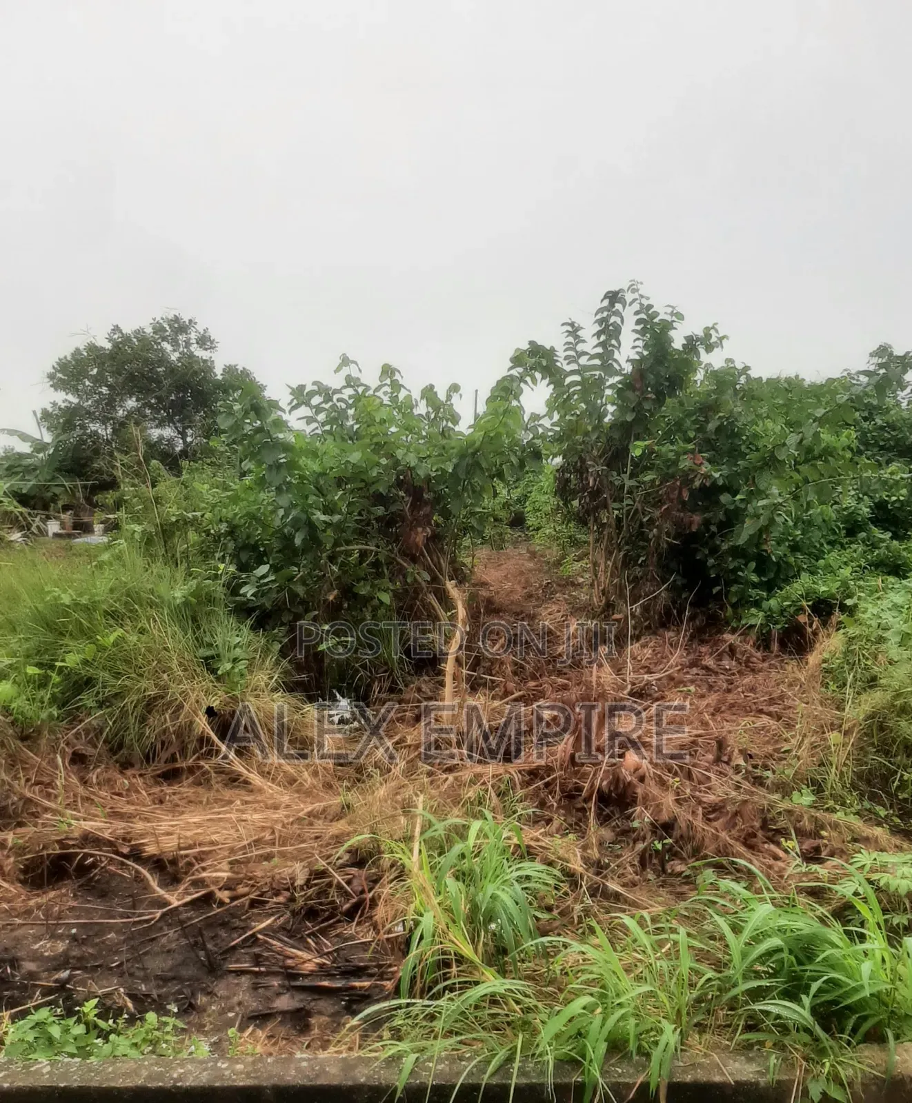 Land for Sale in Lekki in Lekki