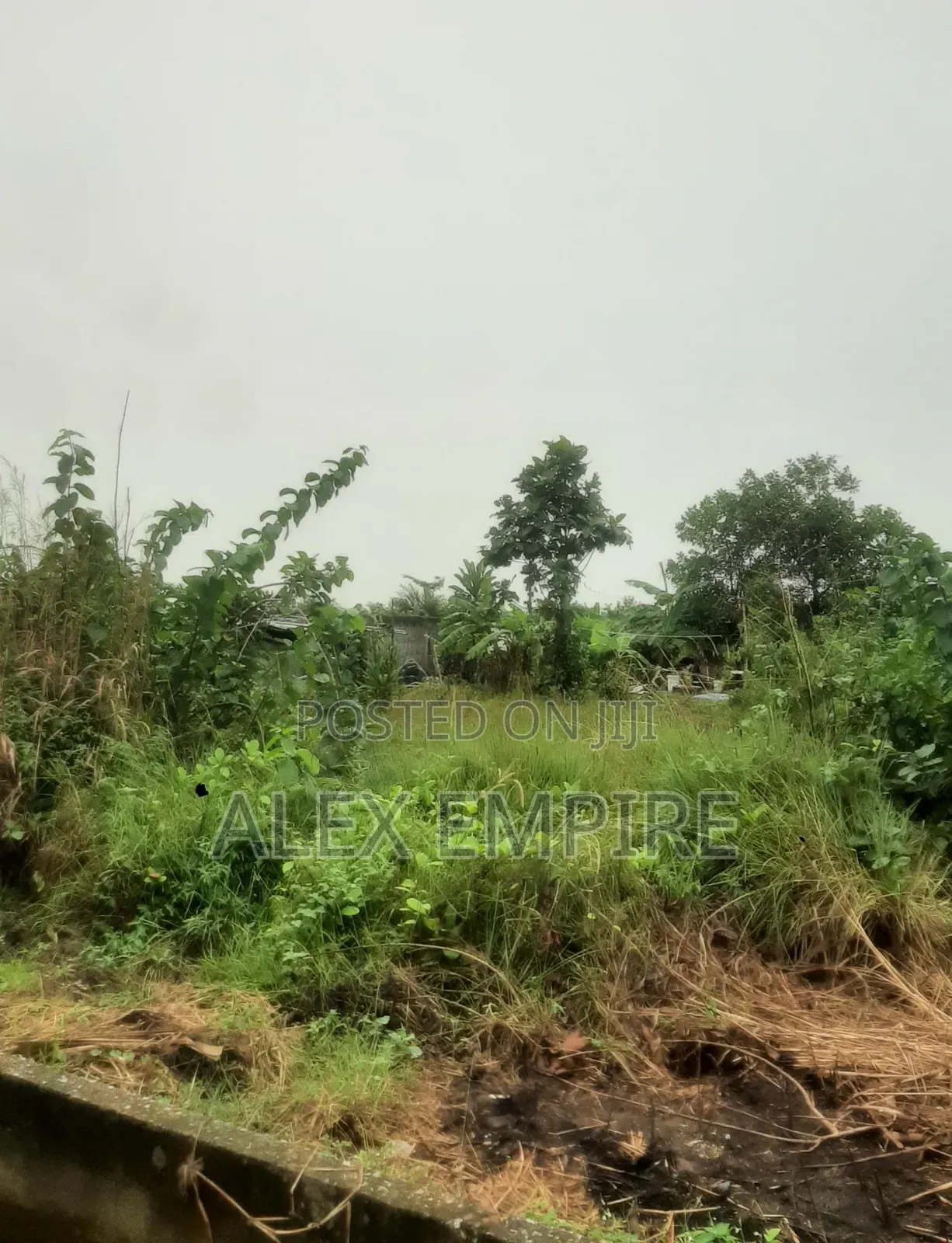 Land for Sale in Lekki in Lekki