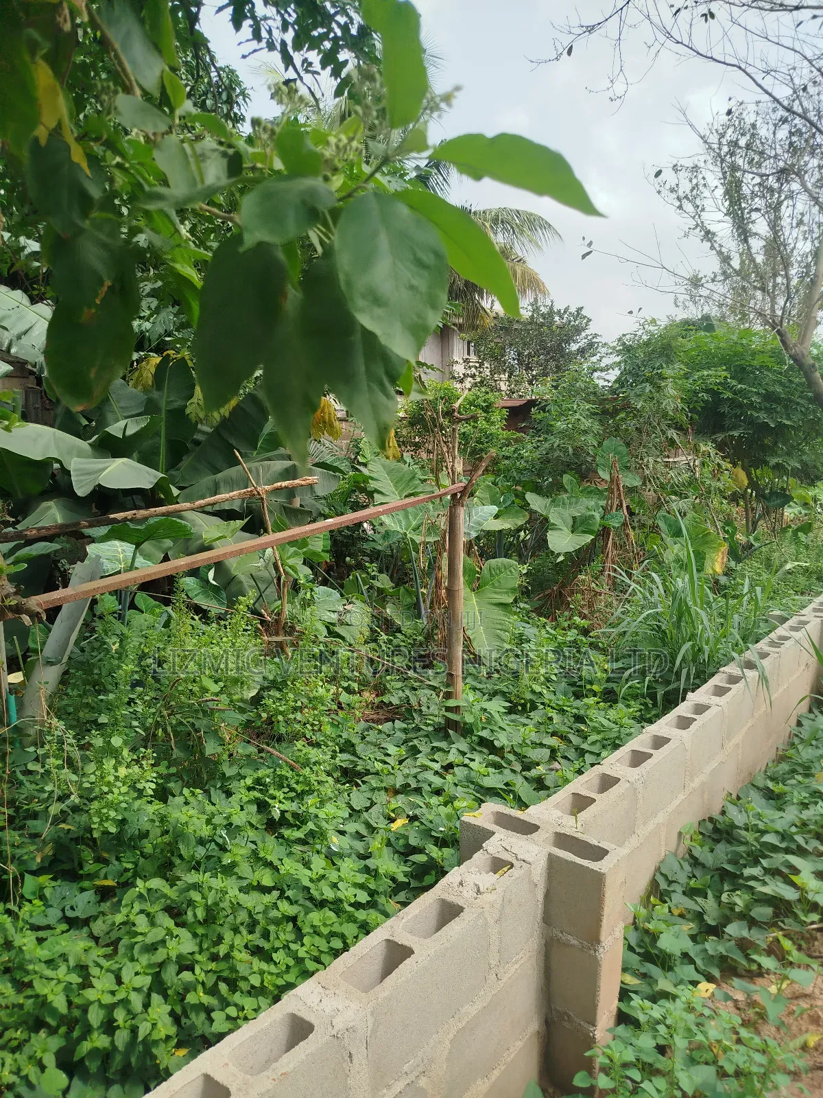 Half Plot for Sale in Ikotun / Ikotun/Igando