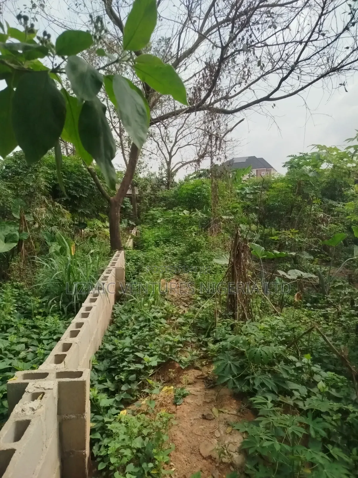 Half Plot for Sale in Ikotun / Ikotun/Igando