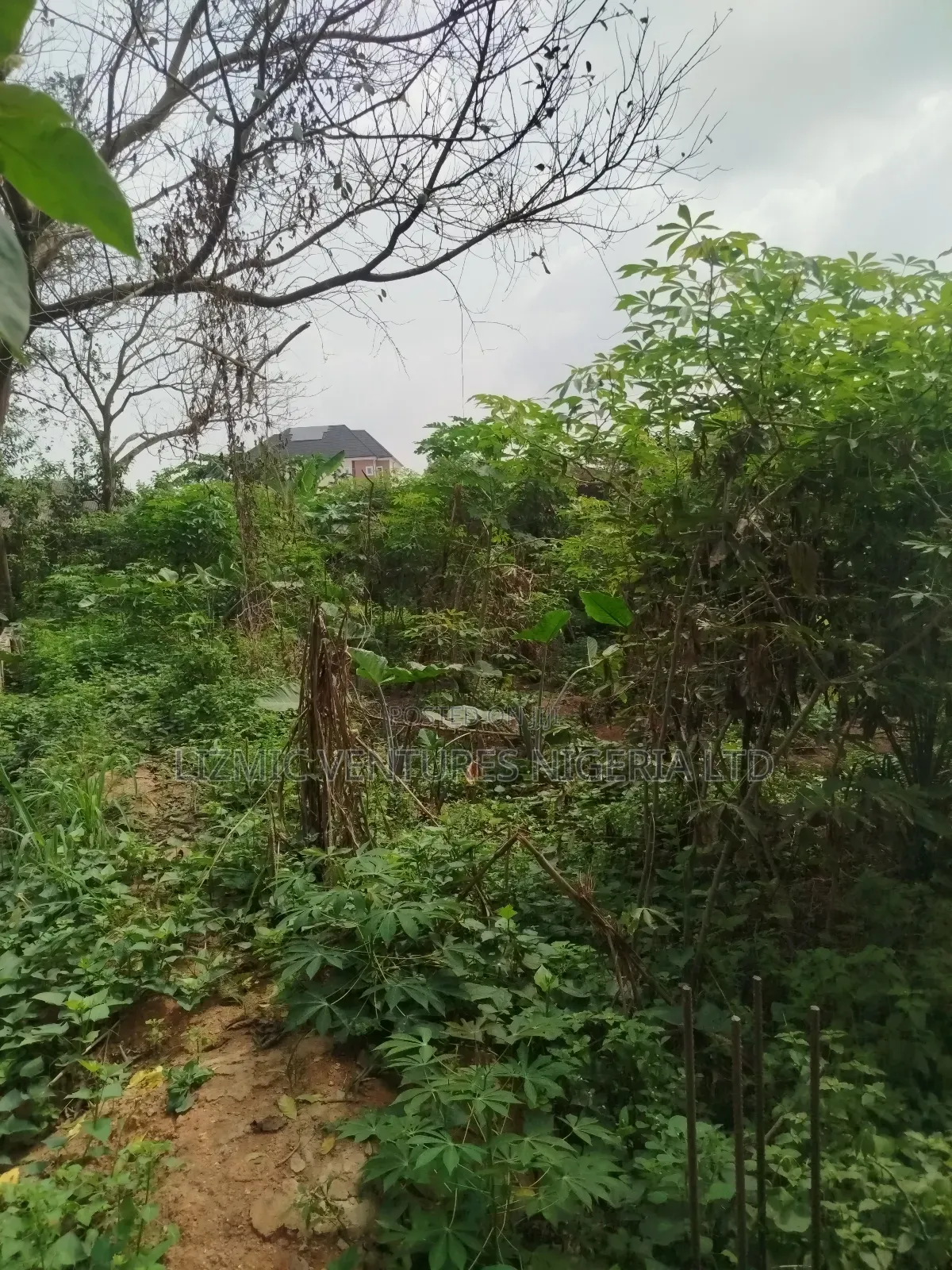 Half Plot for Sale in Ikotun / Ikotun/Igando