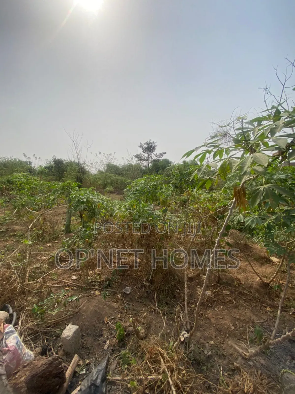 4 Plots of Land Close to a Major.Road. in Akure