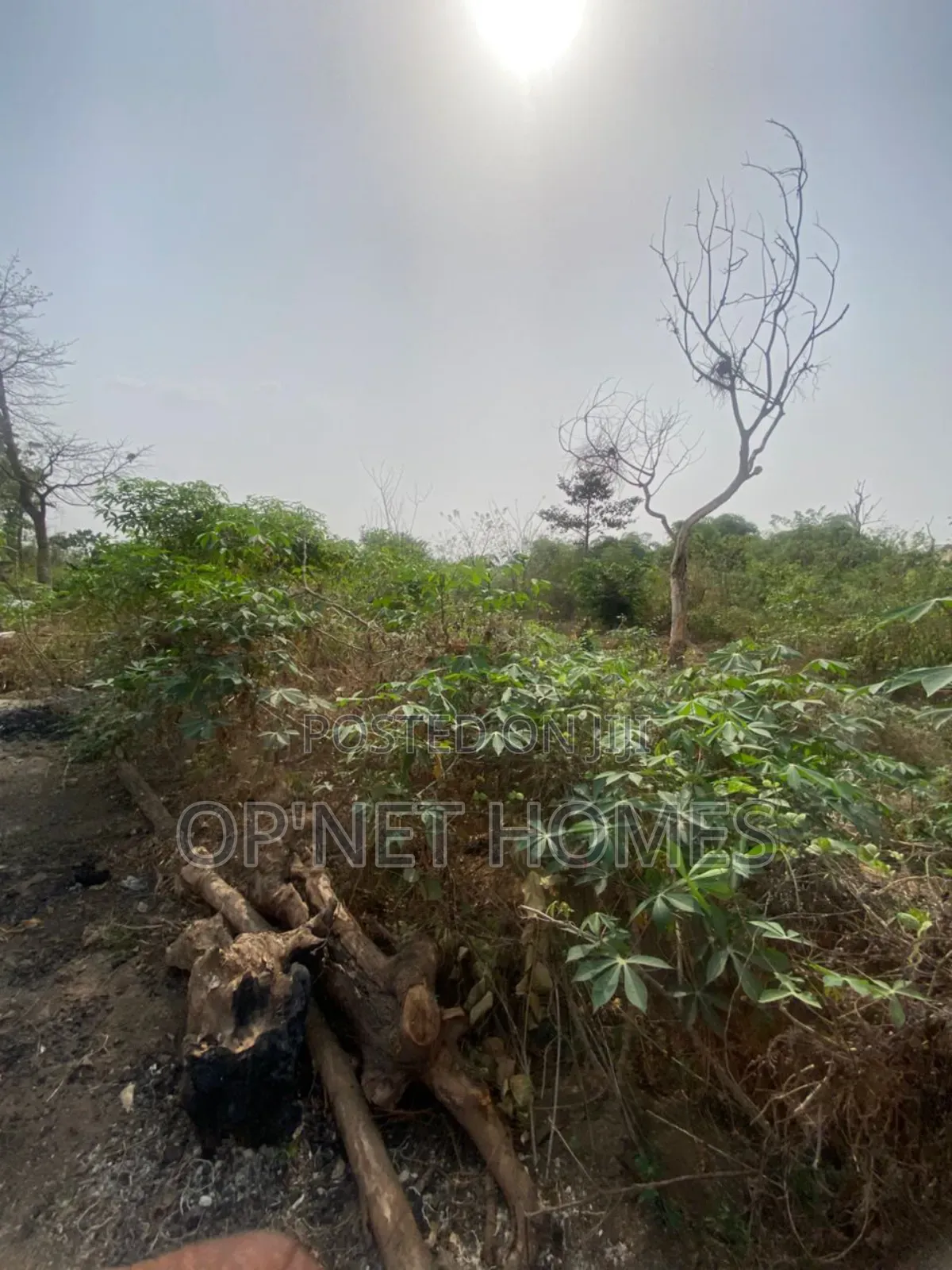 4 Plots of Land Close to a Major.Road. in Akure