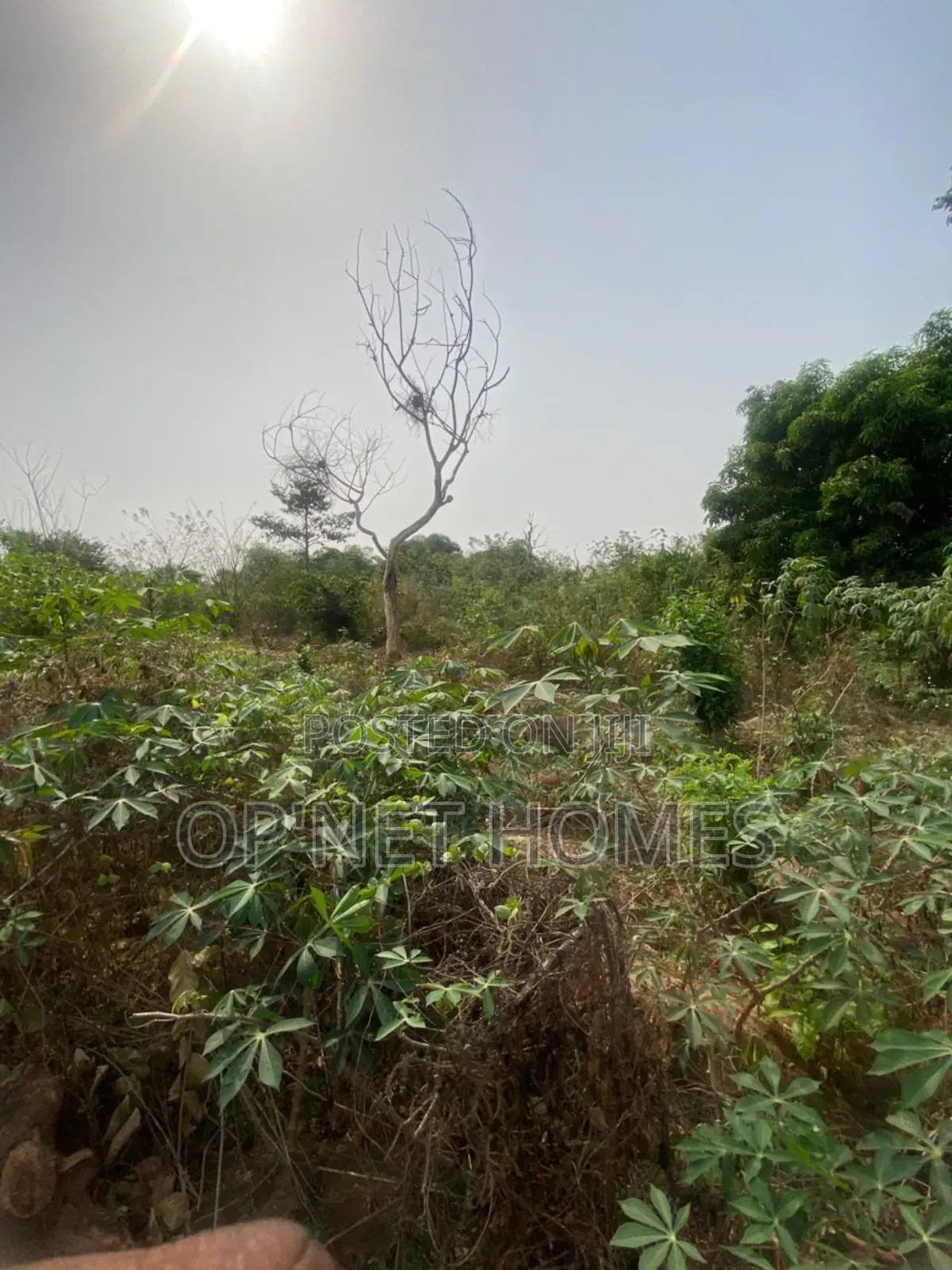 4 Plots of Land Close to a Major.Road. in Akure