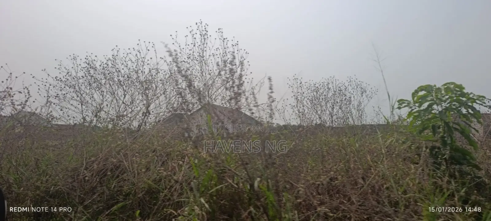 Half Plot of Land for Sale in Akobo