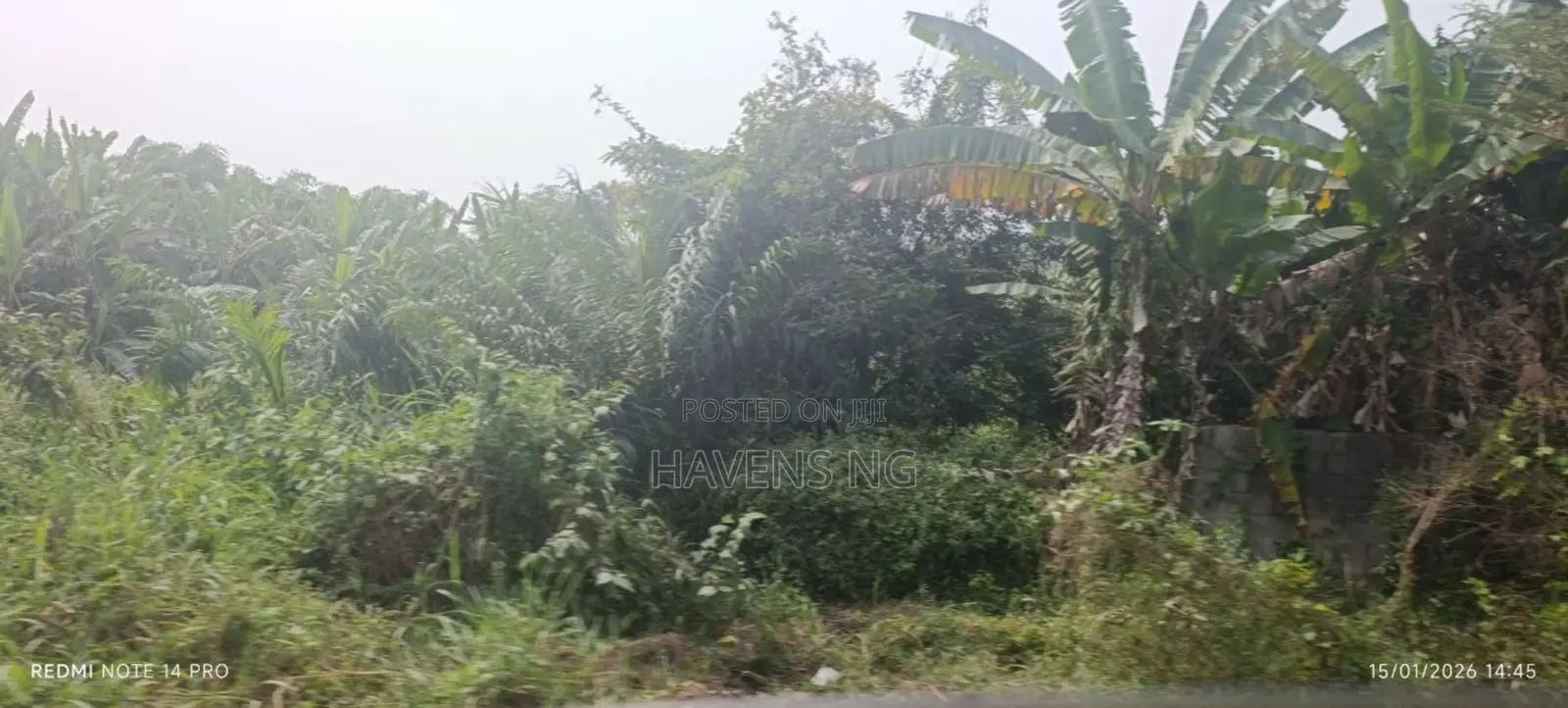 One Full Plot of Land for Sale at Harmony Estate, Akobo in Akobo