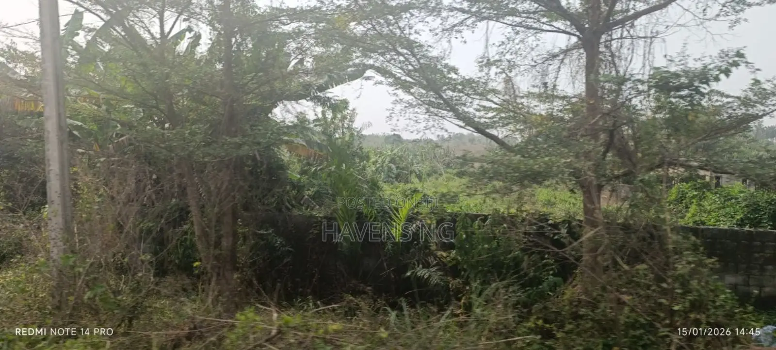 One Full Plot of Land for Sale at Harmony Estate, Akobo in Akobo