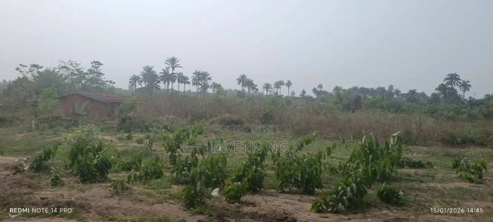 One Full Plot of Land for Sale in Akobo in Akobo