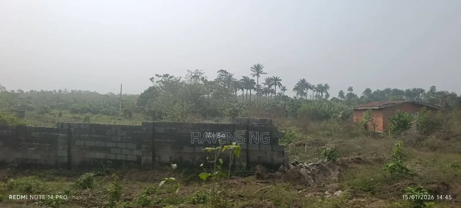 One Full Plot of Land for Sale in Akobo in Akobo