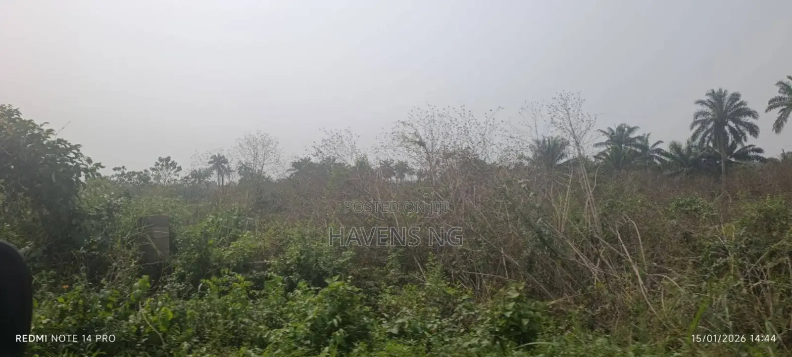 Two Plots of Land for Sale in Akobo in Akobo