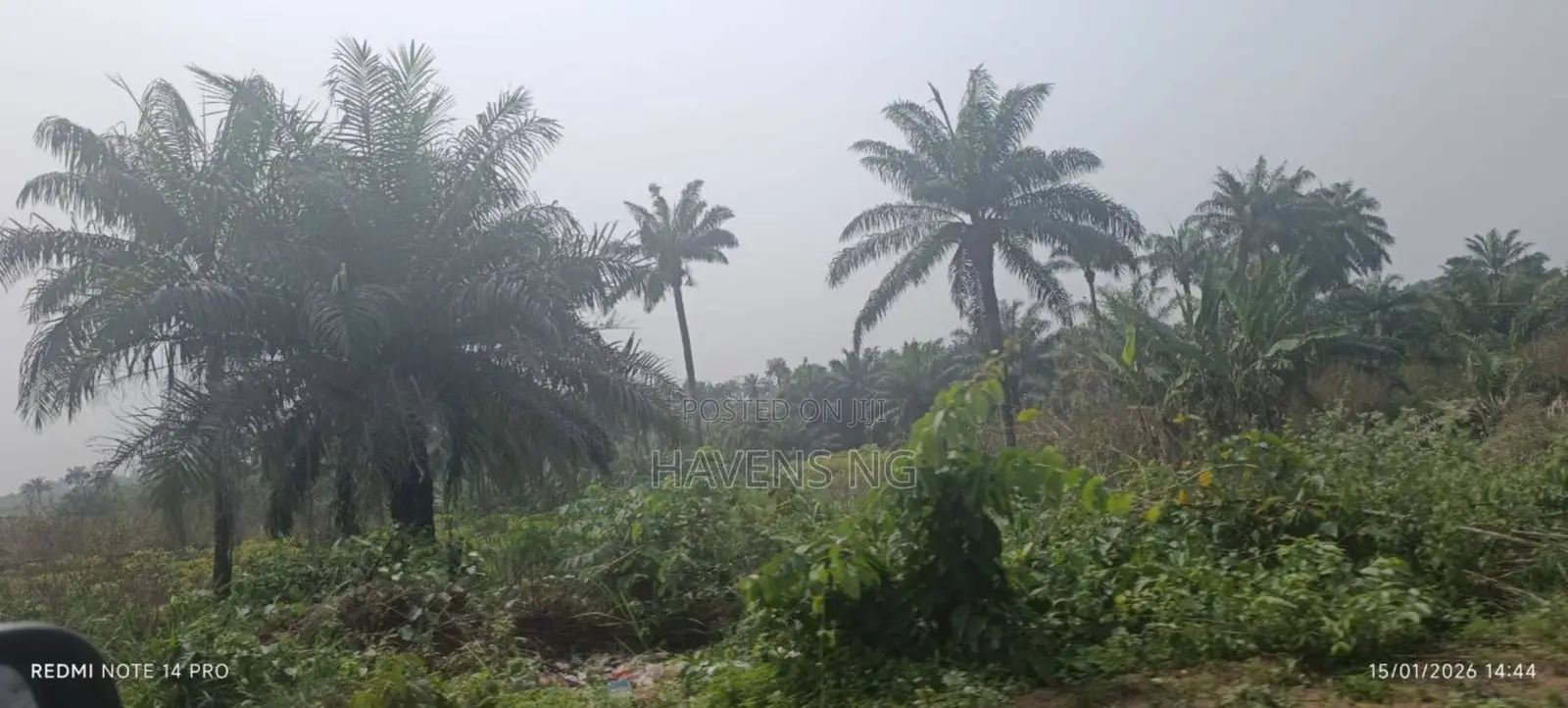 Half Plot of Land for Sale in Akobo-Ojurin in Akobo