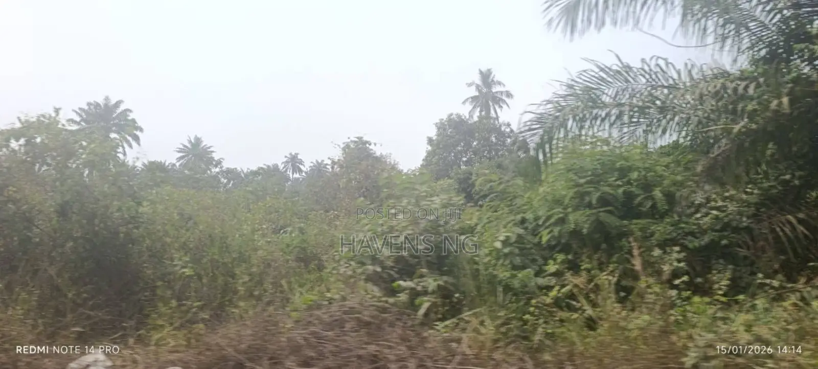 Half Plot of Land for Sale in Olorunda in Akobo