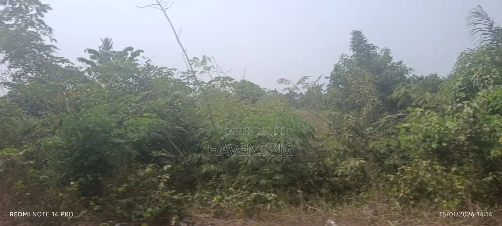 Half Plot of Land for Sale in Olorunda in Akobo